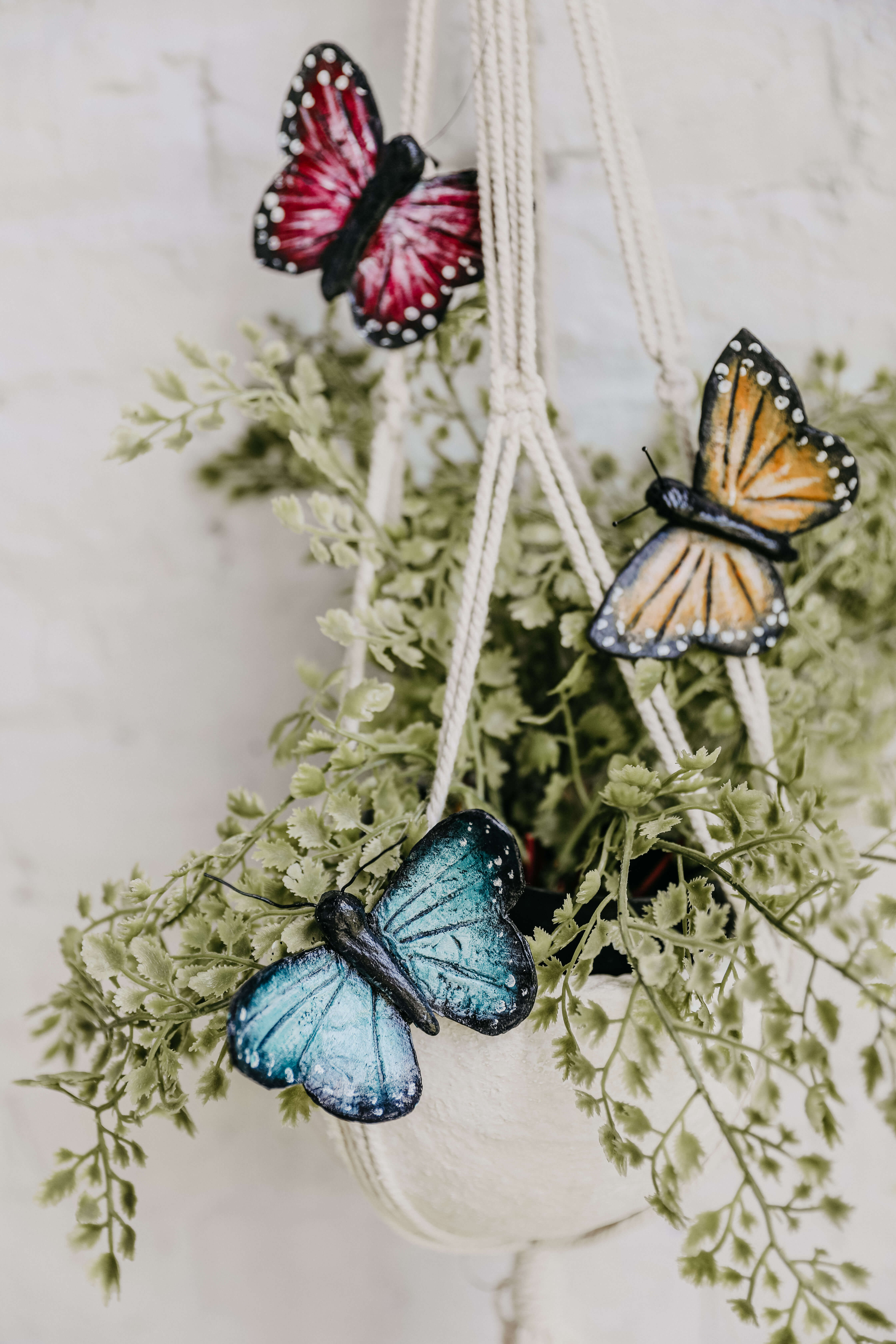 DIY pakket vlinders - Foto