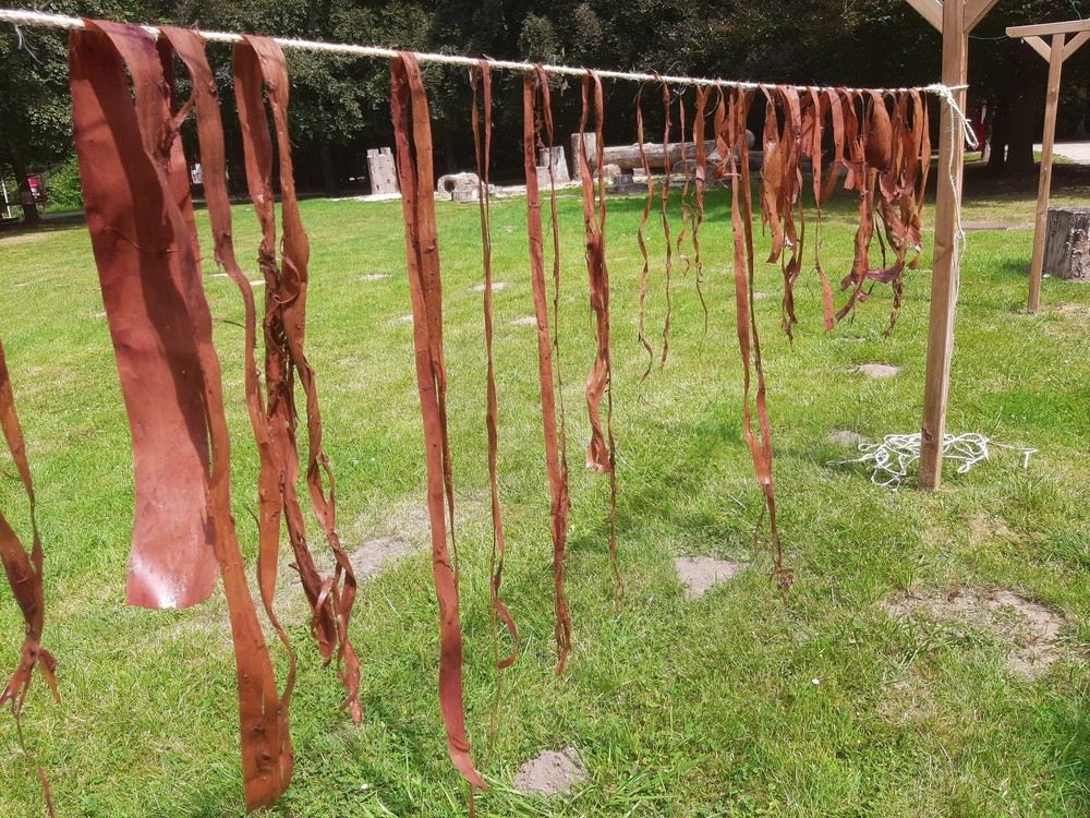 workshop touw maken van natuurlijke vezels - Foto