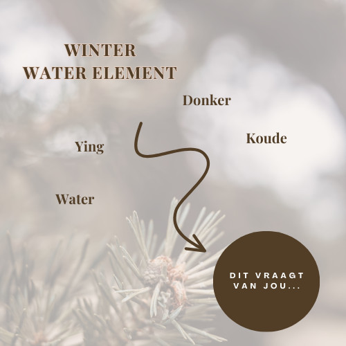 Seizoen op je Bord - Online Kookprogramma - Foto