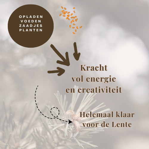 Seizoen op je Bord - Online Kookprogramma - Foto