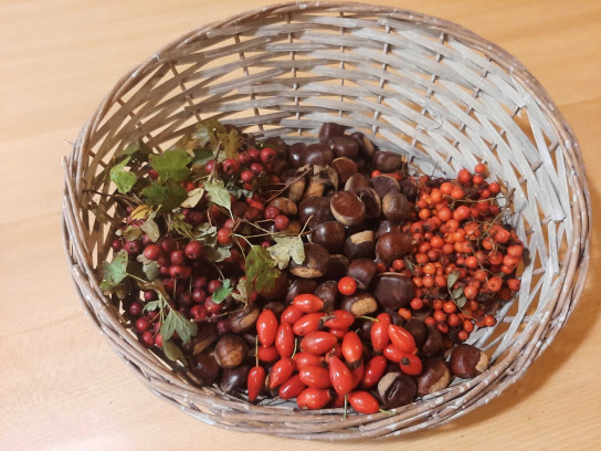 Weekend Workshop Vuur, wild food en houtvuurkoken