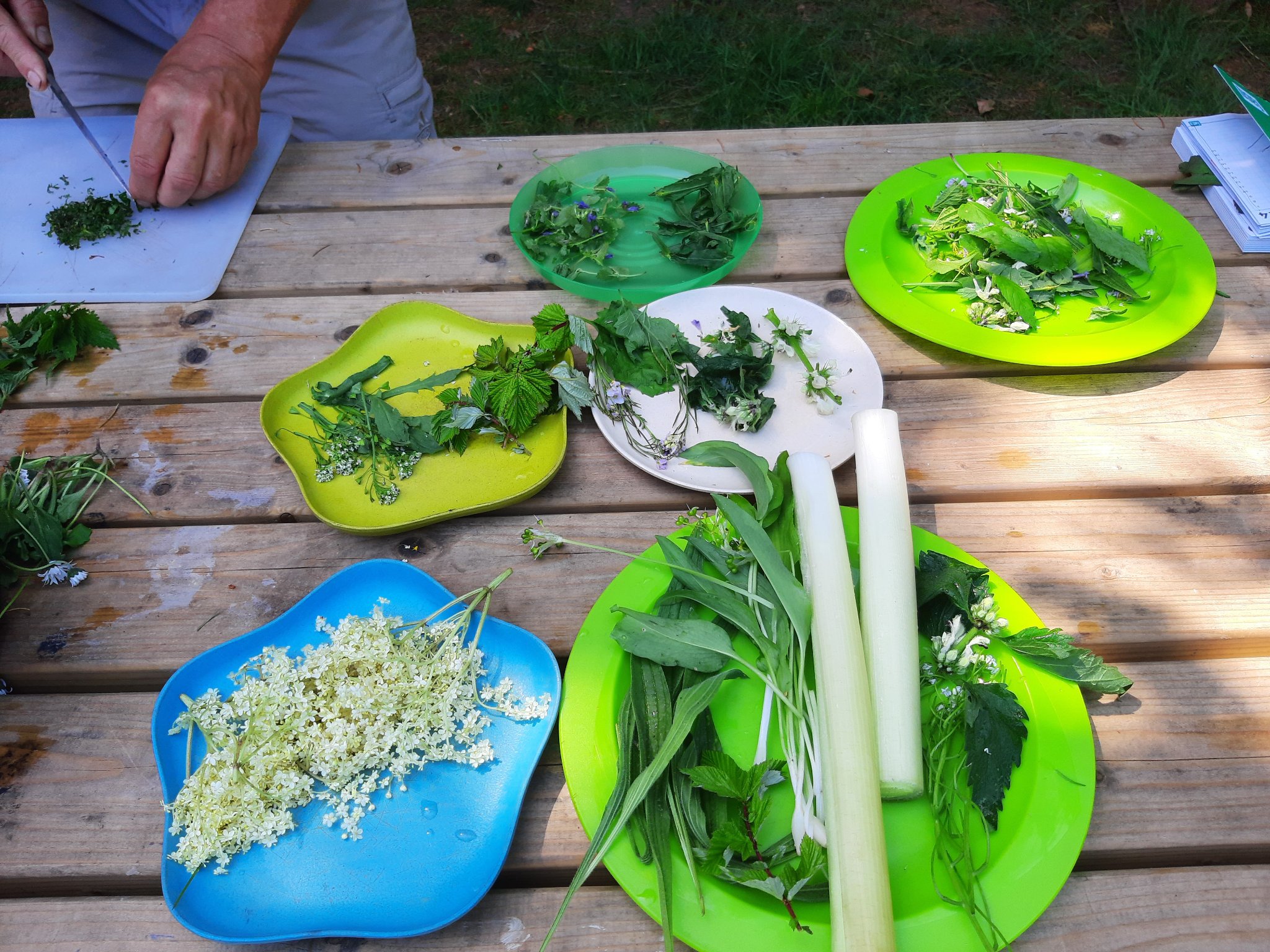 Weekend Workshop Vuur, wild food en houtvuurkoken - Foto