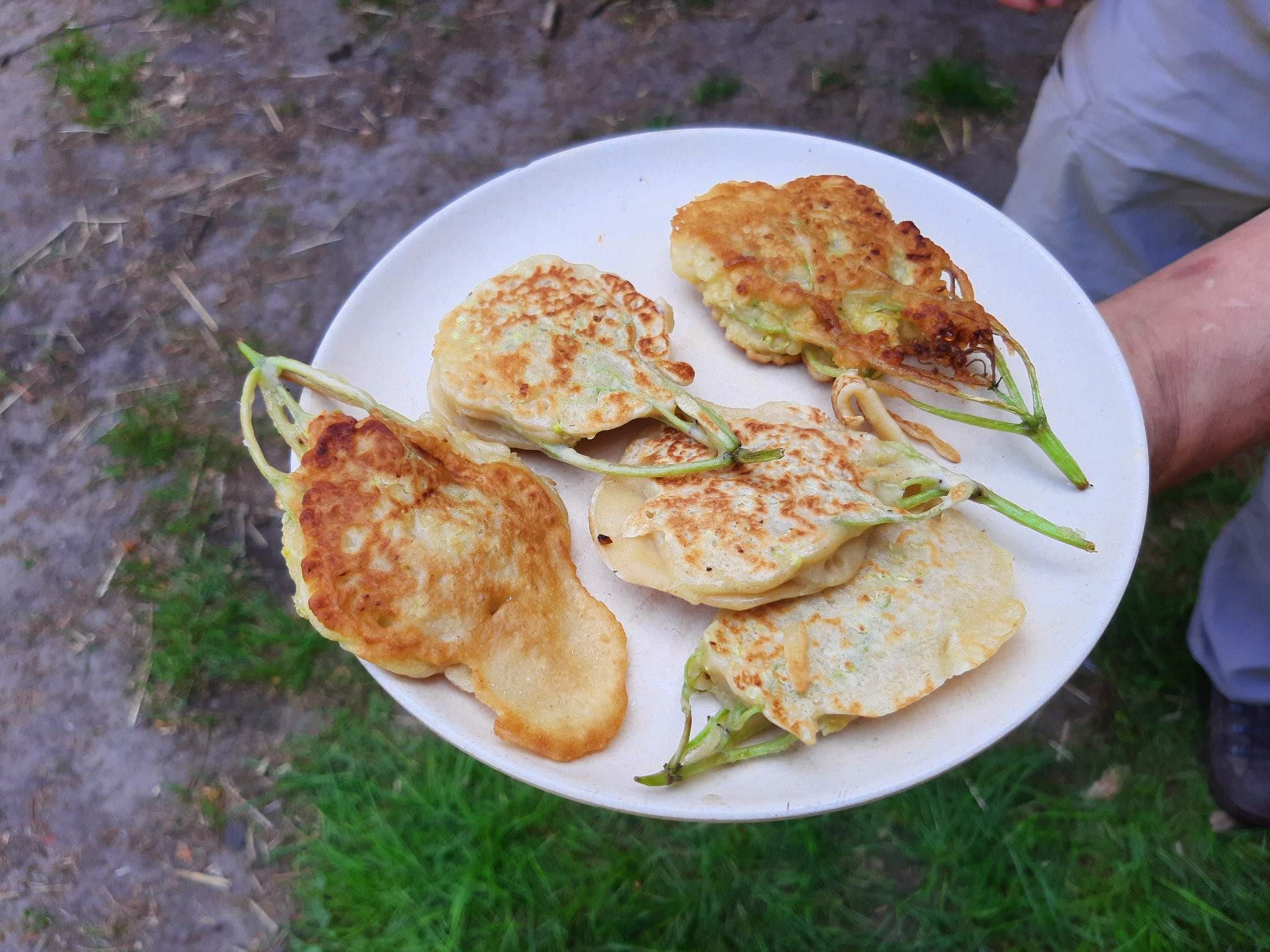 Weekend Workshop Vuur, wild food en houtvuurkoken - Foto