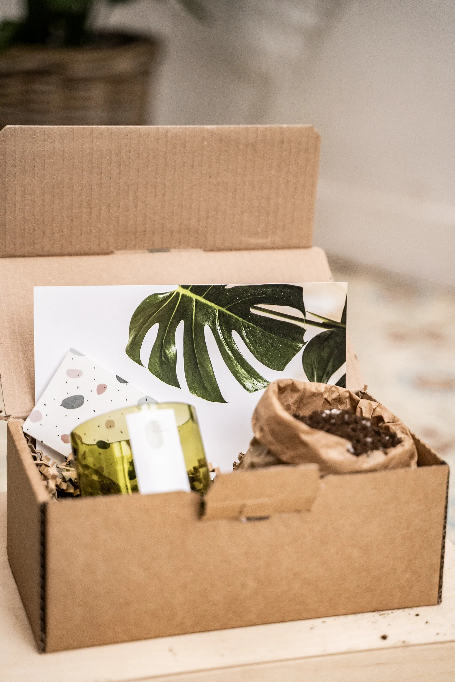 DIY pakket kweek je eigen kamerplanten - Foto