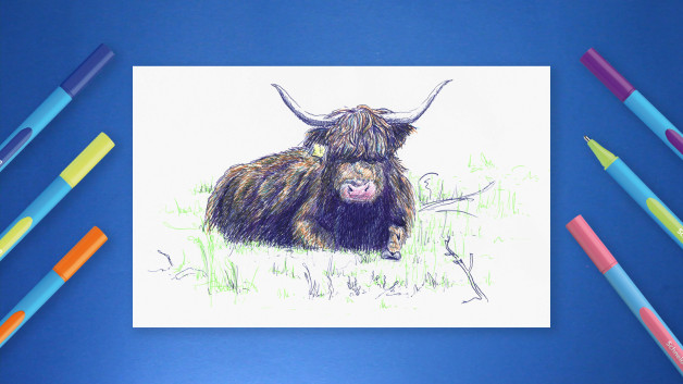 DIY- Workshop Schotse Hooglander tekenen met Schneider Slider Edge XB
