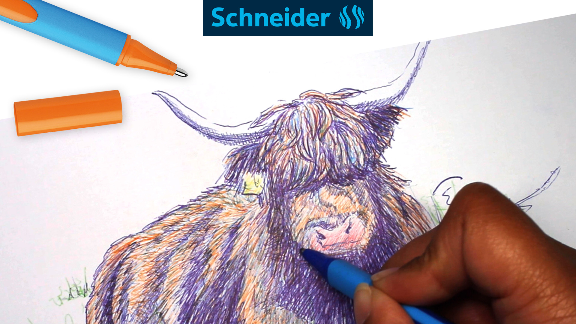 DIY- Workshop Schotse Hooglander tekenen met Schneider Slider Edge XB - Foto