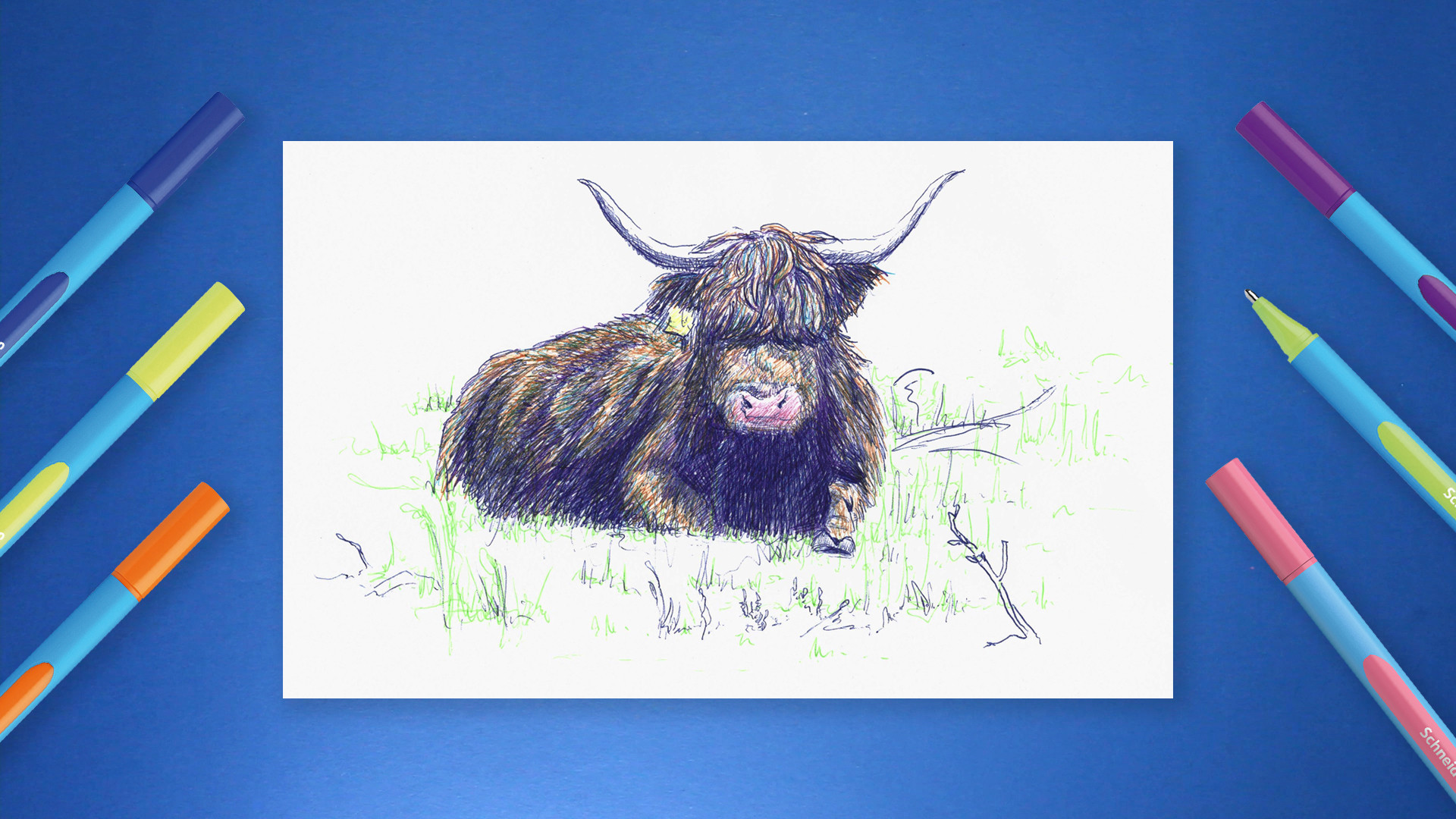 DIY- Workshop Schotse Hooglander tekenen met Schneider Slider Edge XB - Foto