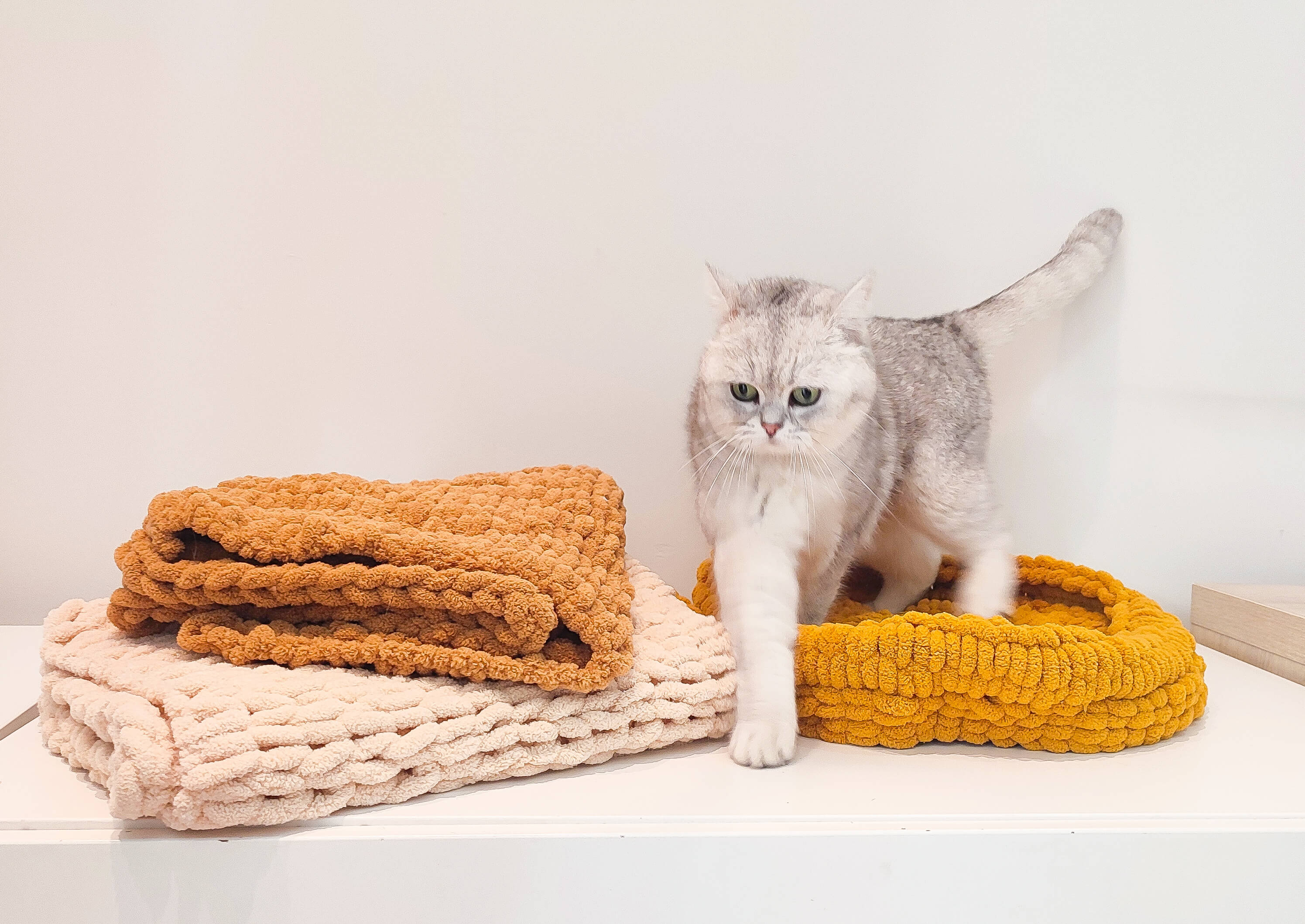 Cats & Knits – Mandje handbreien in het kattenparadijs 🐈🧶✨ - Foto