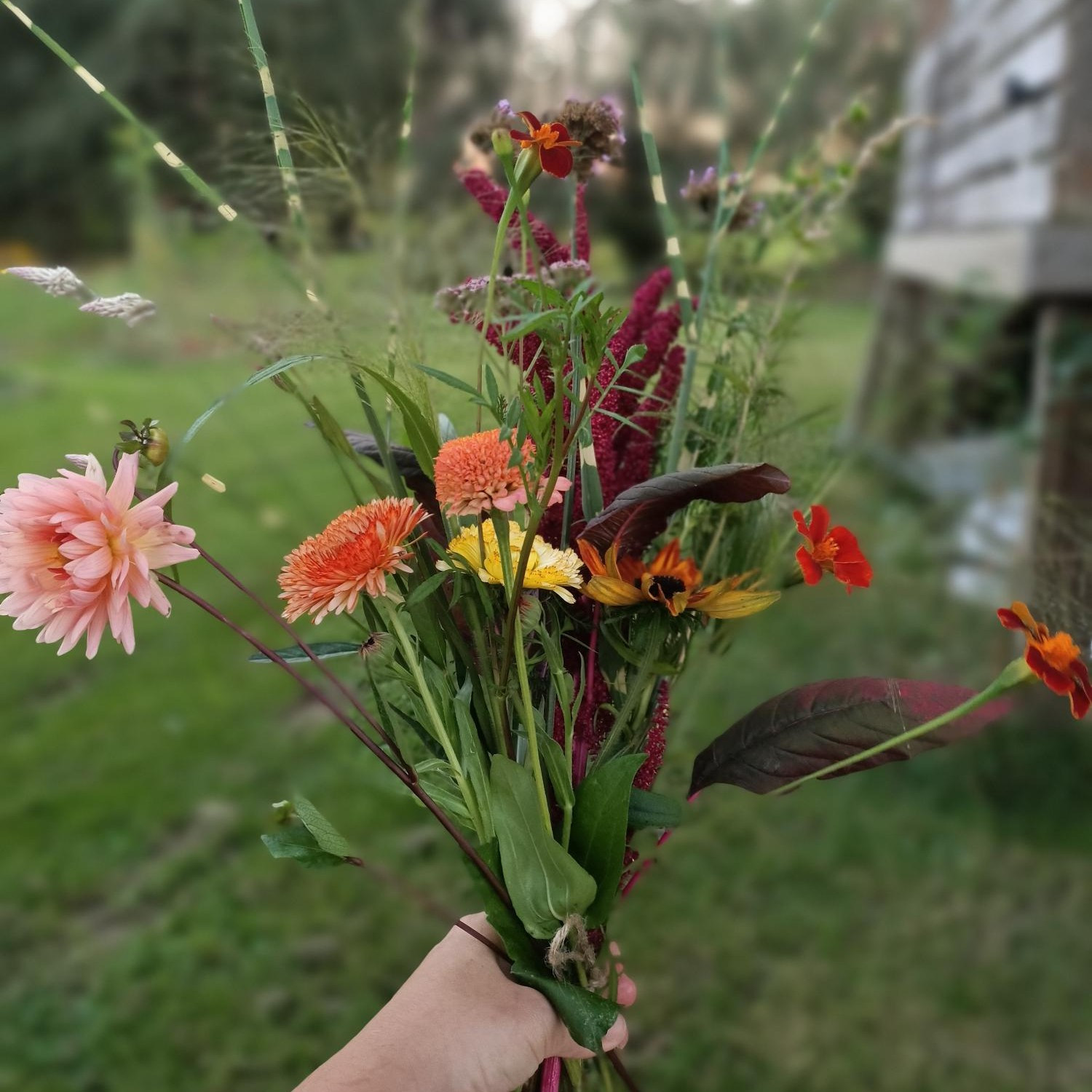 Pluk je veldboeket (privé-workshop) - Foto