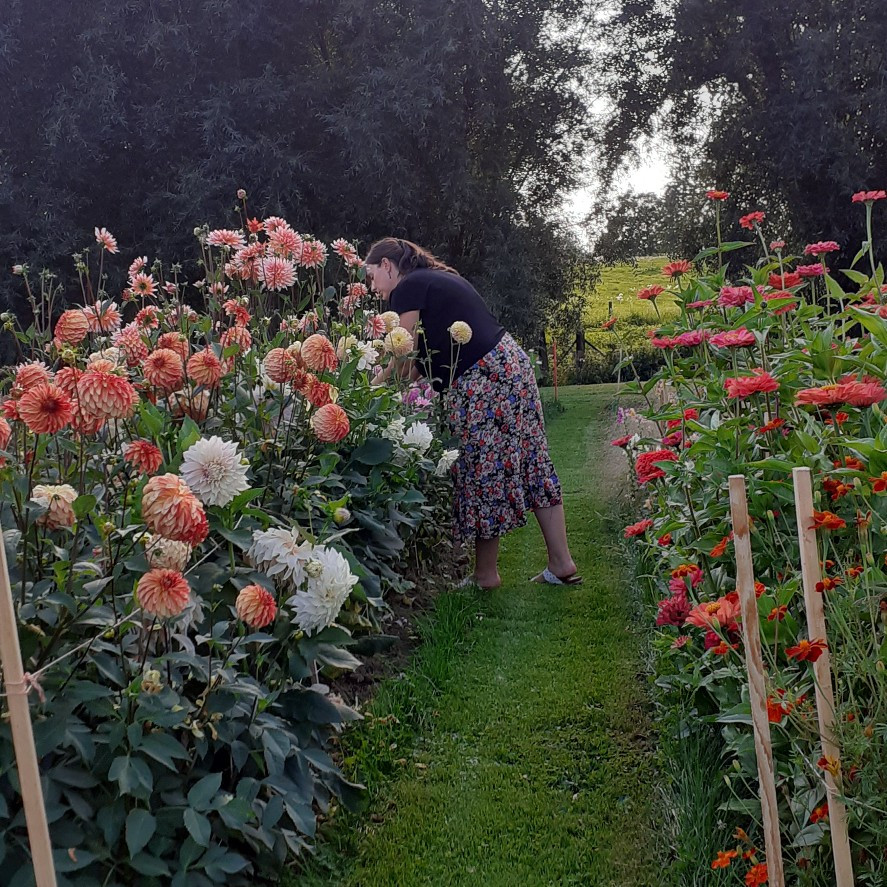 Pluk je veldboeket (privé-workshop) - Foto