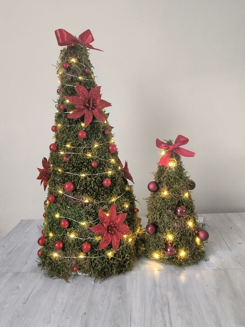 Moskegel voor kerst - Foto