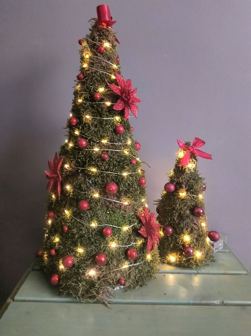 Moskegel voor kerst - Foto