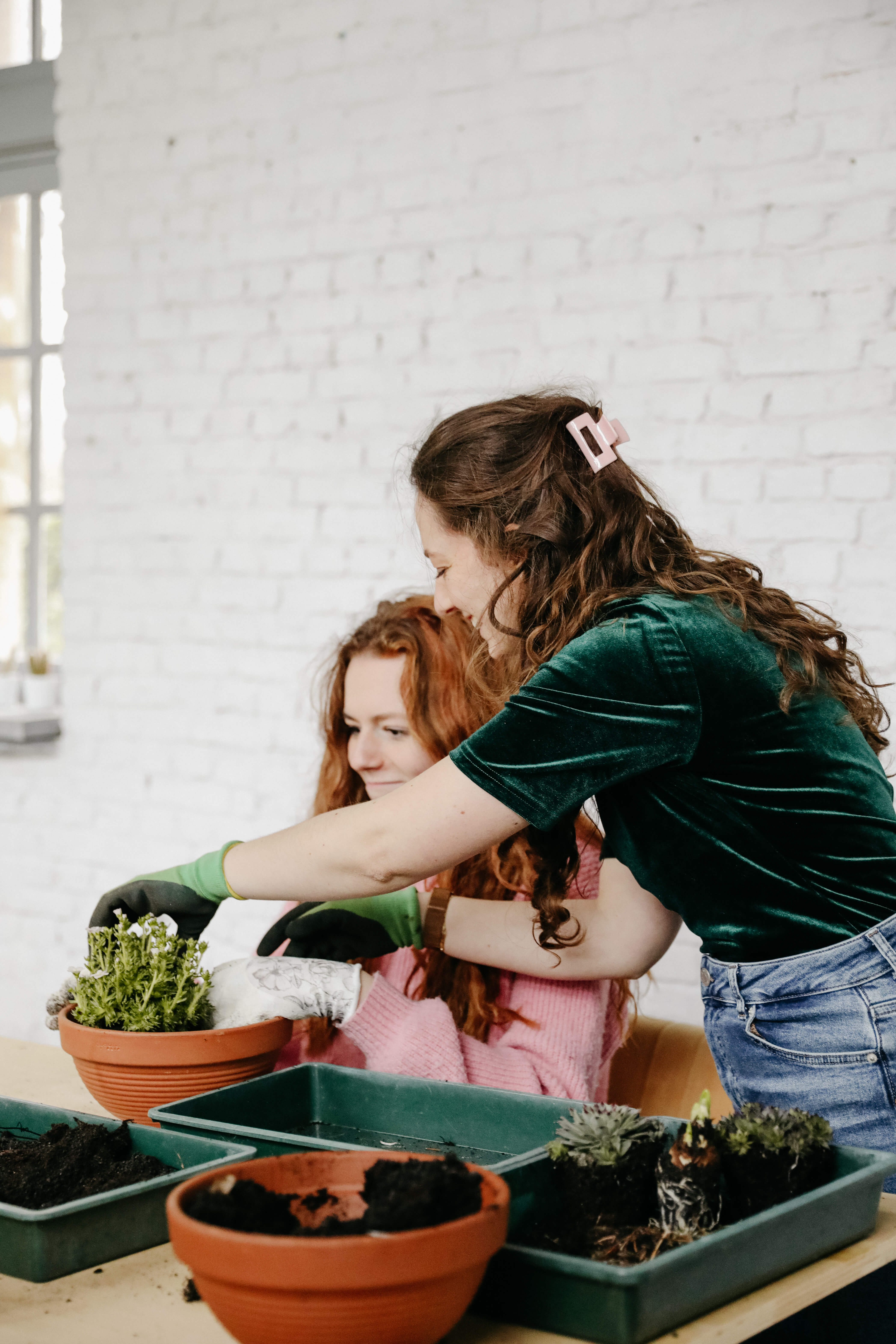 Vlinderbuffet creëeren 🦋🐝 - Foto