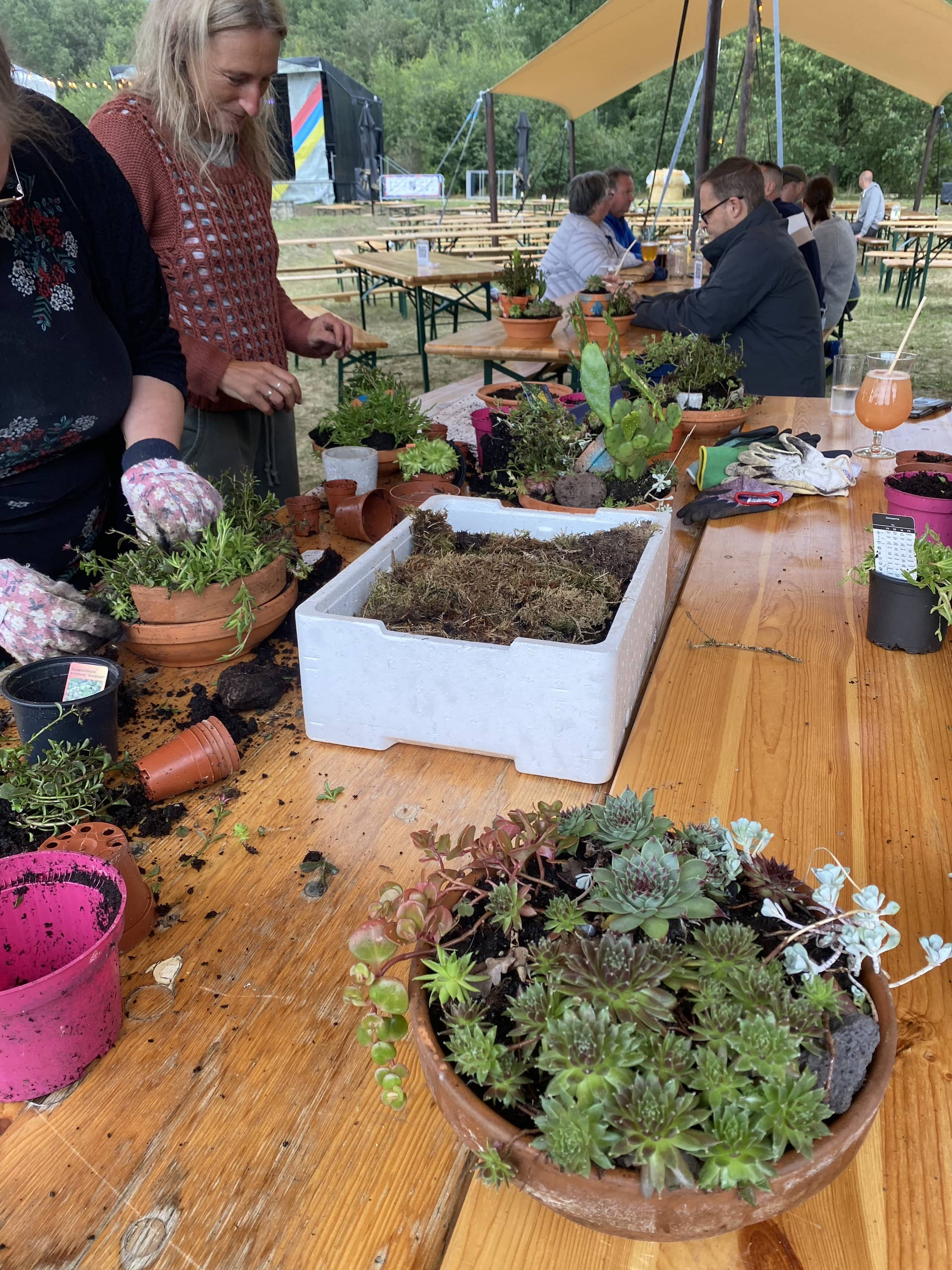 Vlinderbuffet creëeren 🦋🐝 - Foto