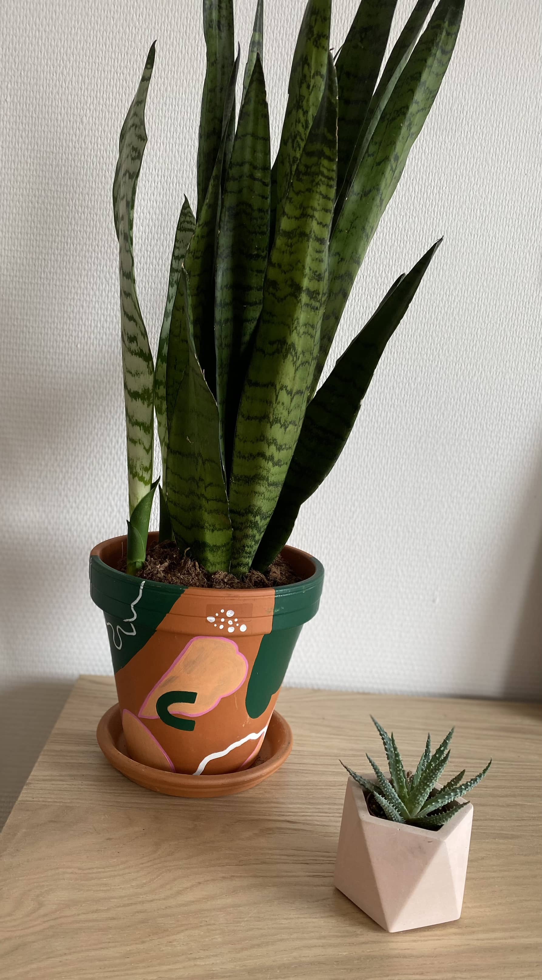 🎨 Creatief Bloempotjes Feestje – Kinderworkshop - Foto