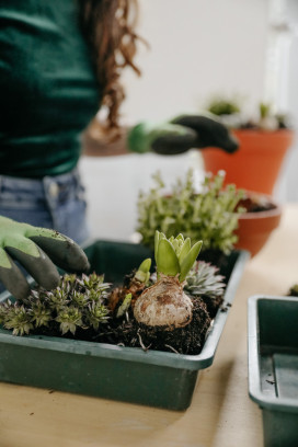 Vlinderbuffet creëeren 🦋🐝