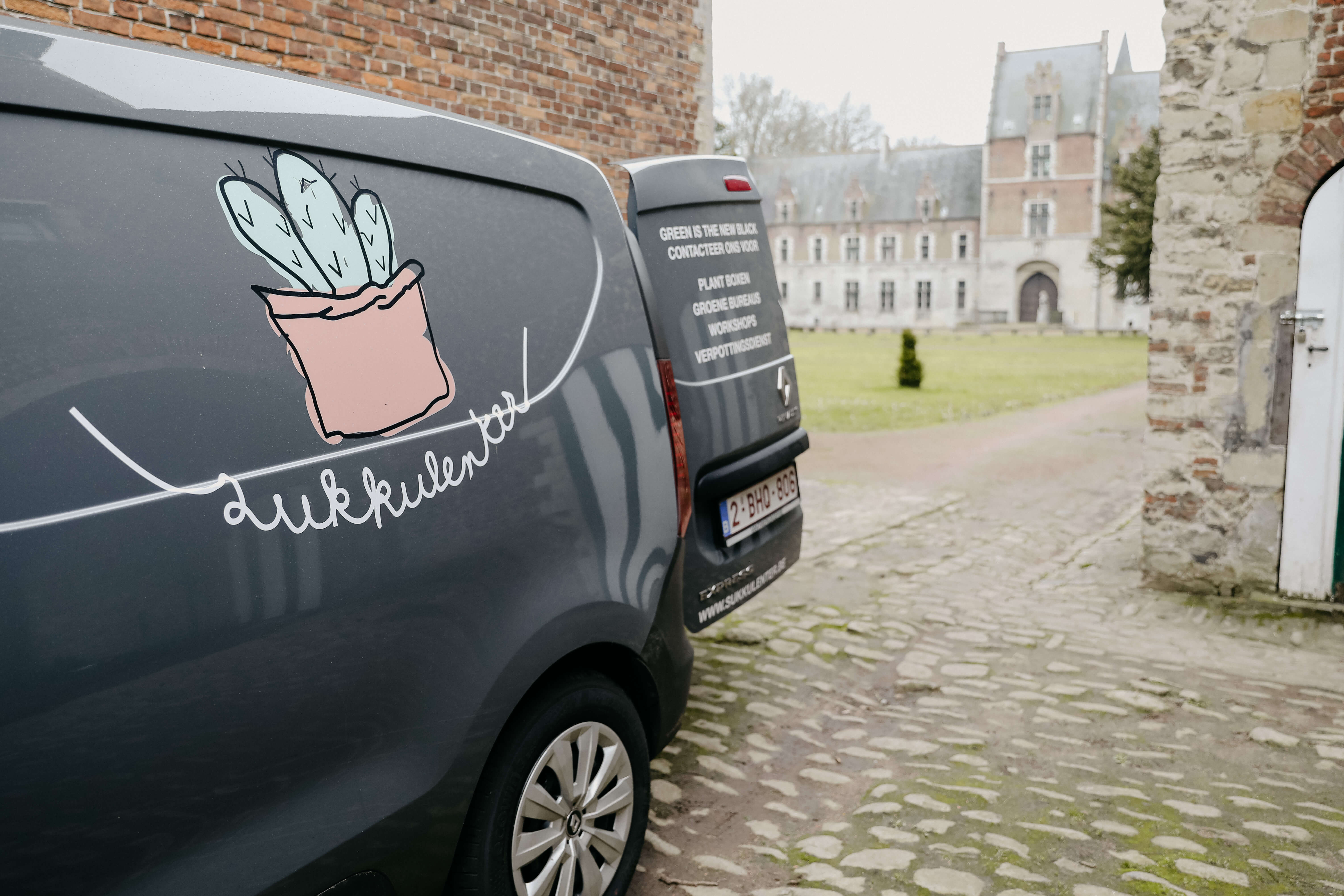 Vlinderbuffet creëeren 🦋🐝 - Foto