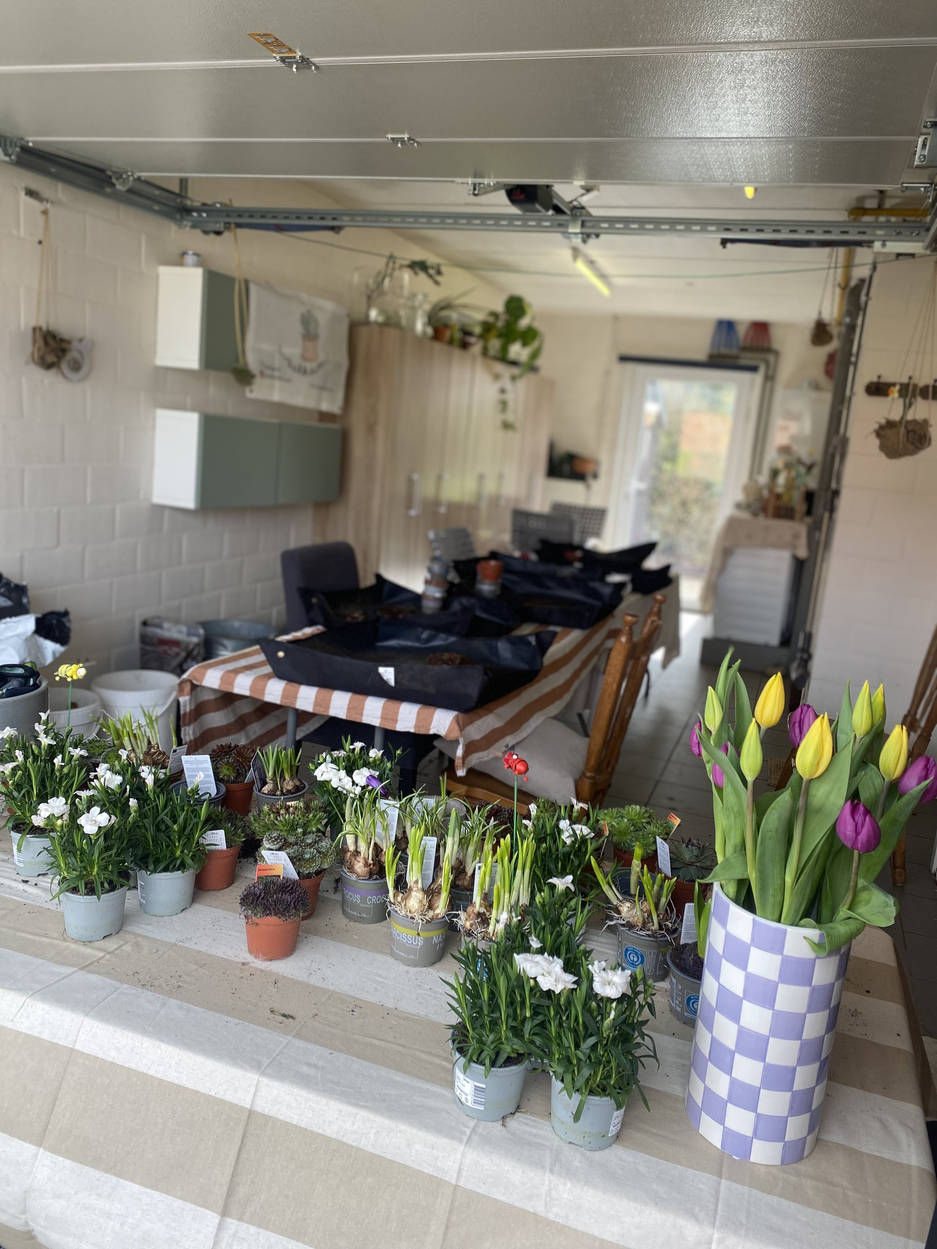 🎨 Creatief Bloempotjes Feestje – Kinderworkshop - Foto