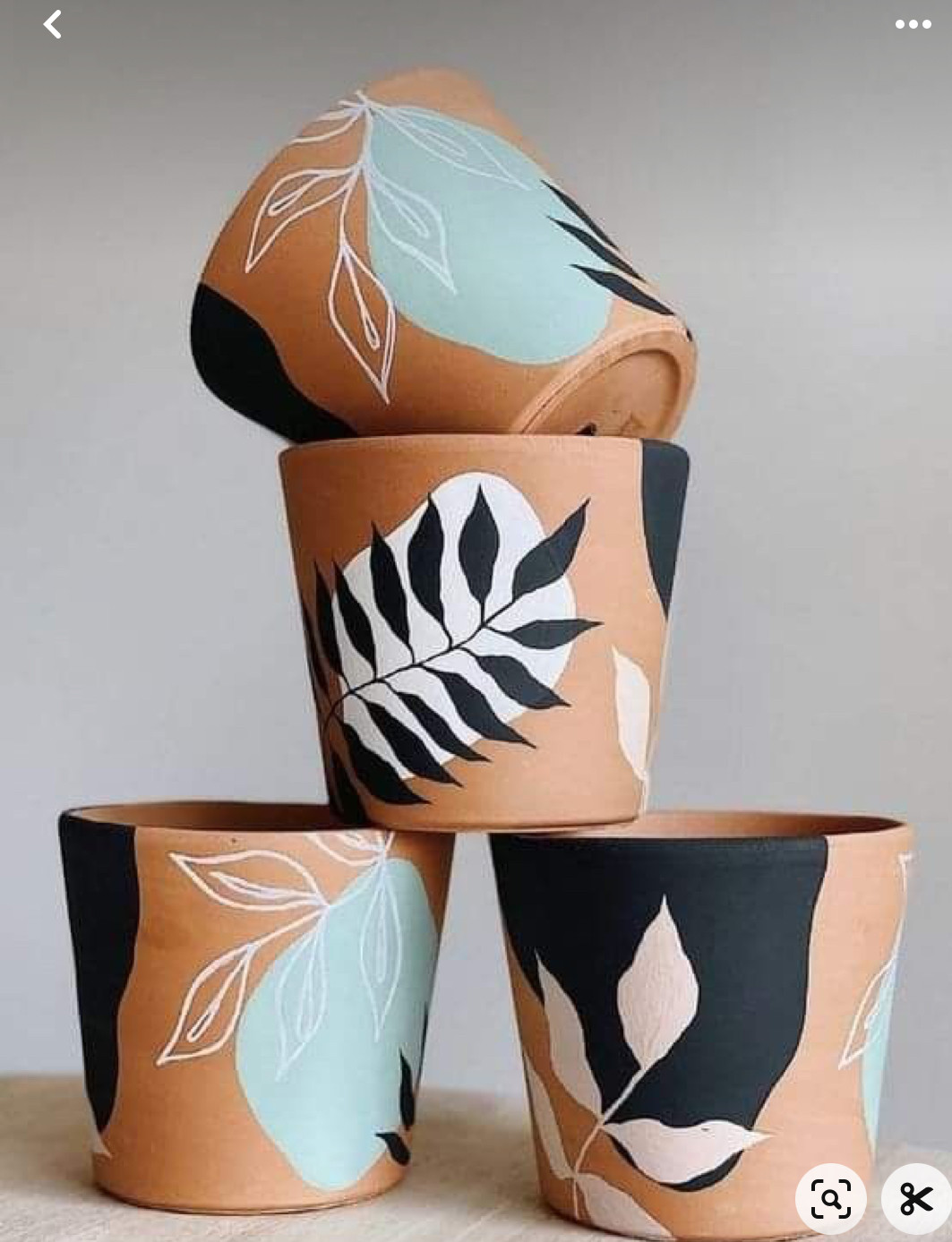 Happy Pots - voor bedrijven - Foto