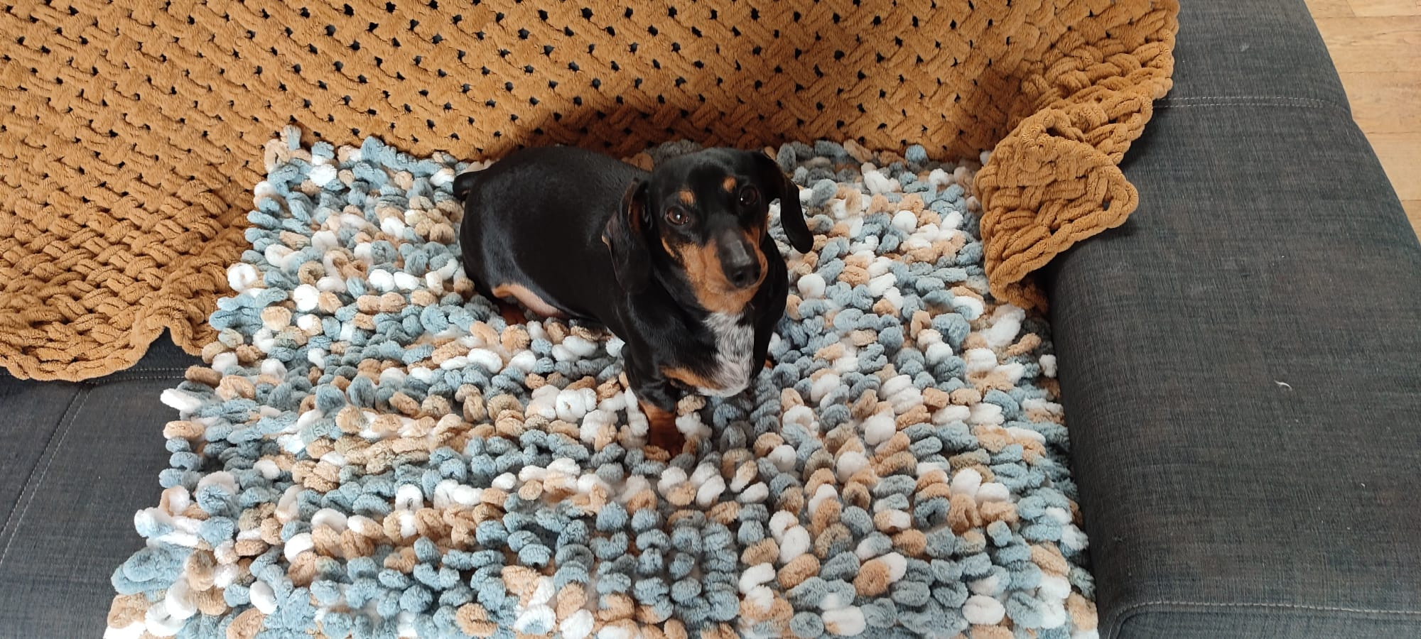 🧶 Workshop Fluffy Mat – Breien met je handen voor jouw viervoeter (of jezelf!) Breien zonder naalden? Jep, dat kan! - Foto