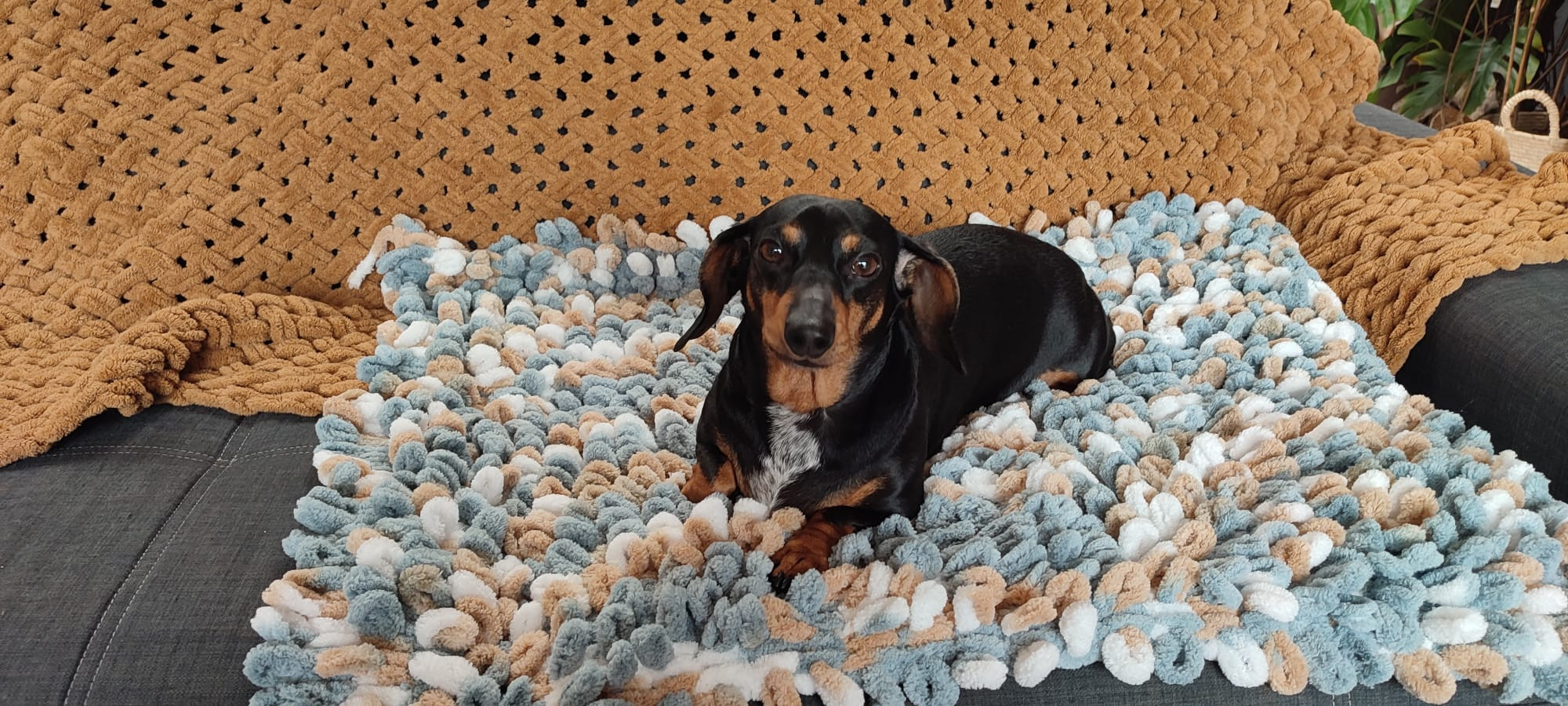 Workshop Fluffy Mat – Breien met je handen voor jouw viervoeter (of jezelf!) Breien zonder naalden? Jep, dat kan! - Foto