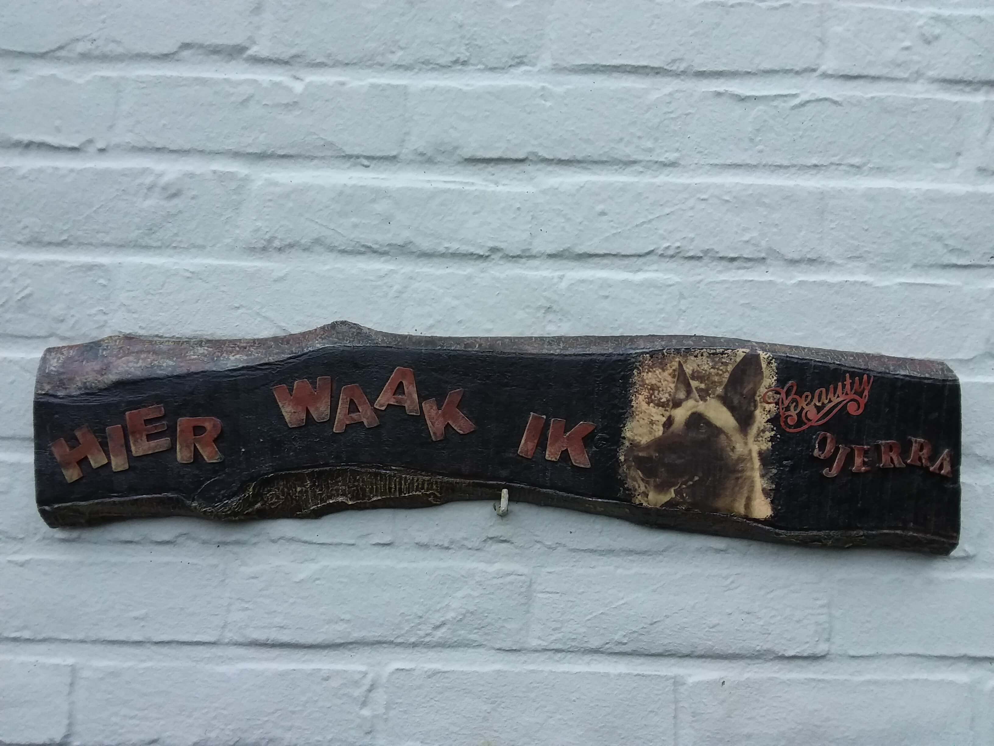 Workshop Powertex 'vrije keuze' - Foto