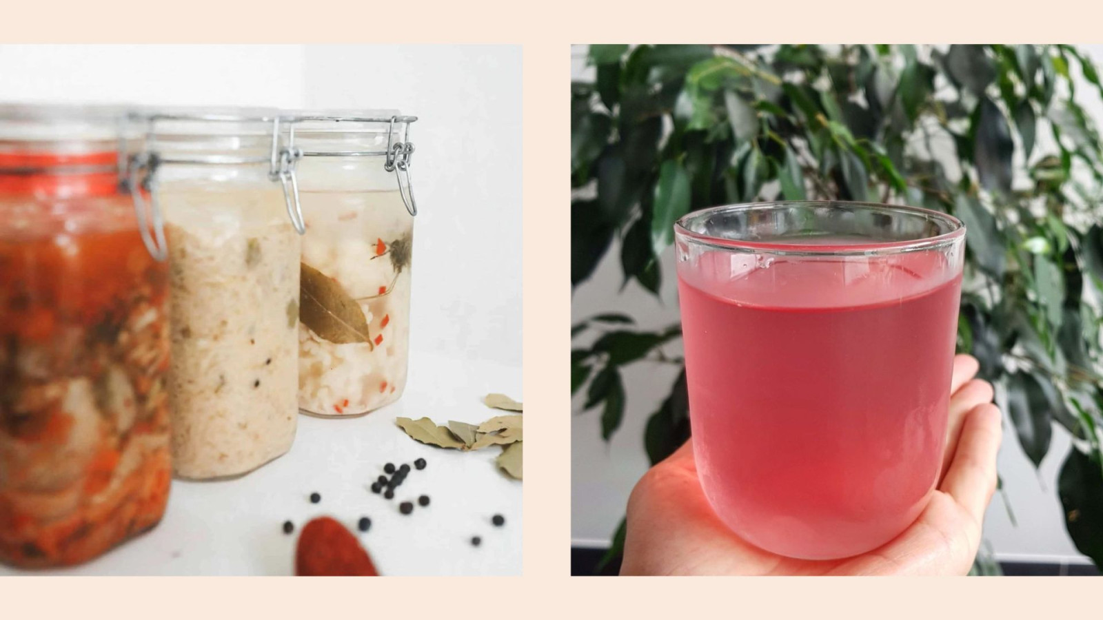 5 unieke workshops in Oost-Vlaanderen - Fermenteren en vegan kazen