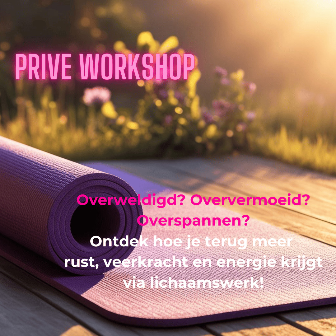 Privé groepsworkshop 'Meer rust, veerkracht en energie via lichaamswerk!' - Foto