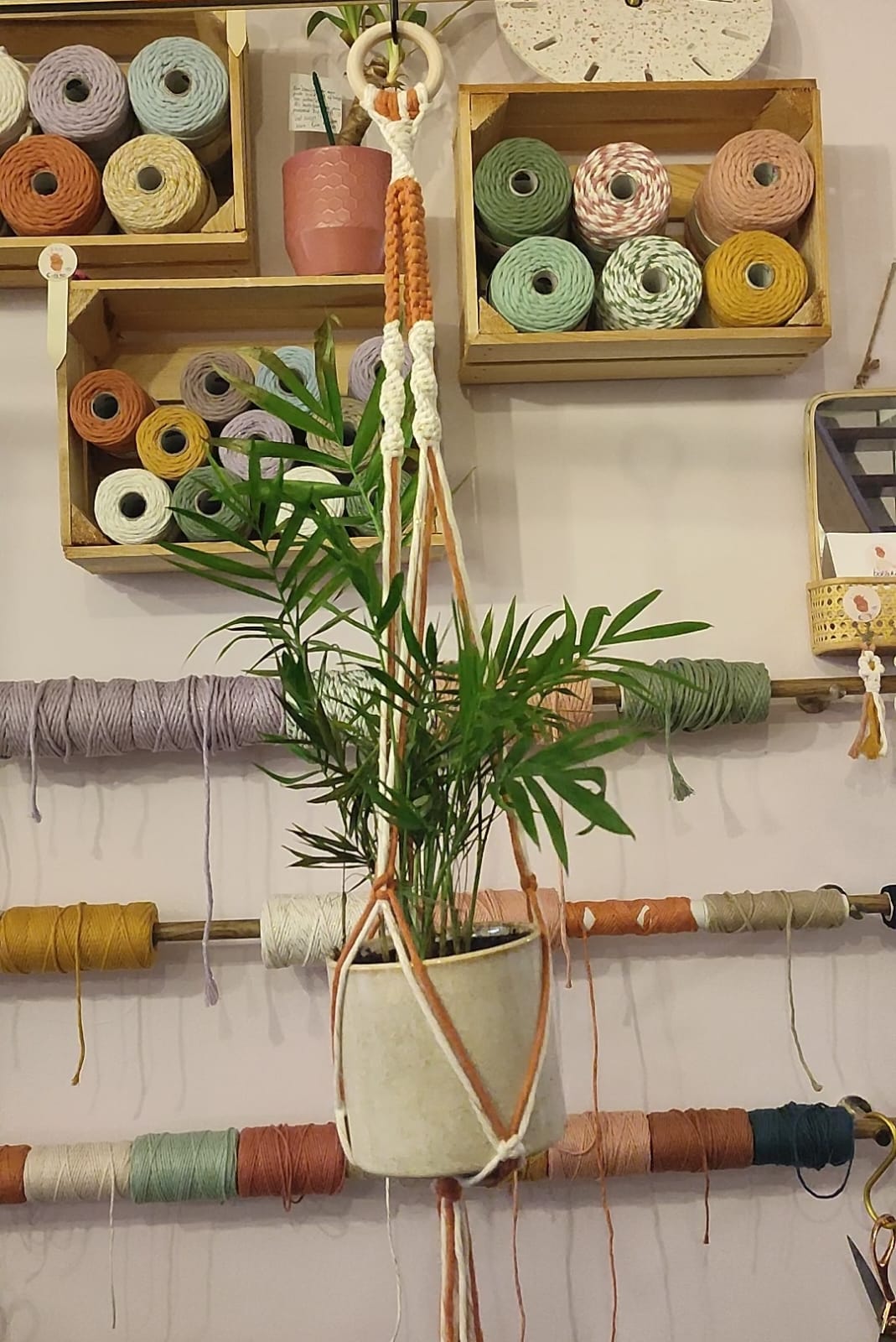 DIY pakket macramé duokleur plantenhanger