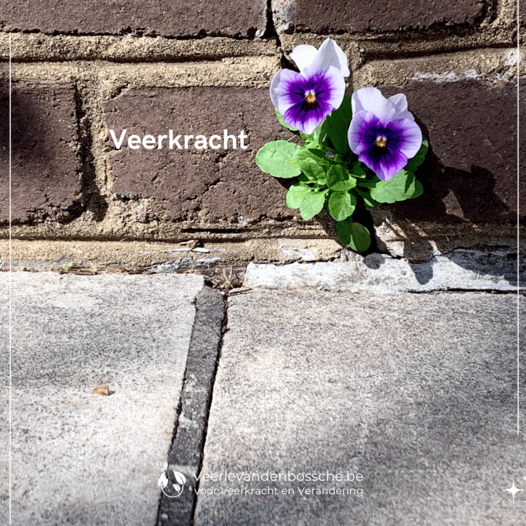 Masterclass 'Ontdek mijn bewezen SOS-methode voor meer rust, veerkracht en energie!' - Foto