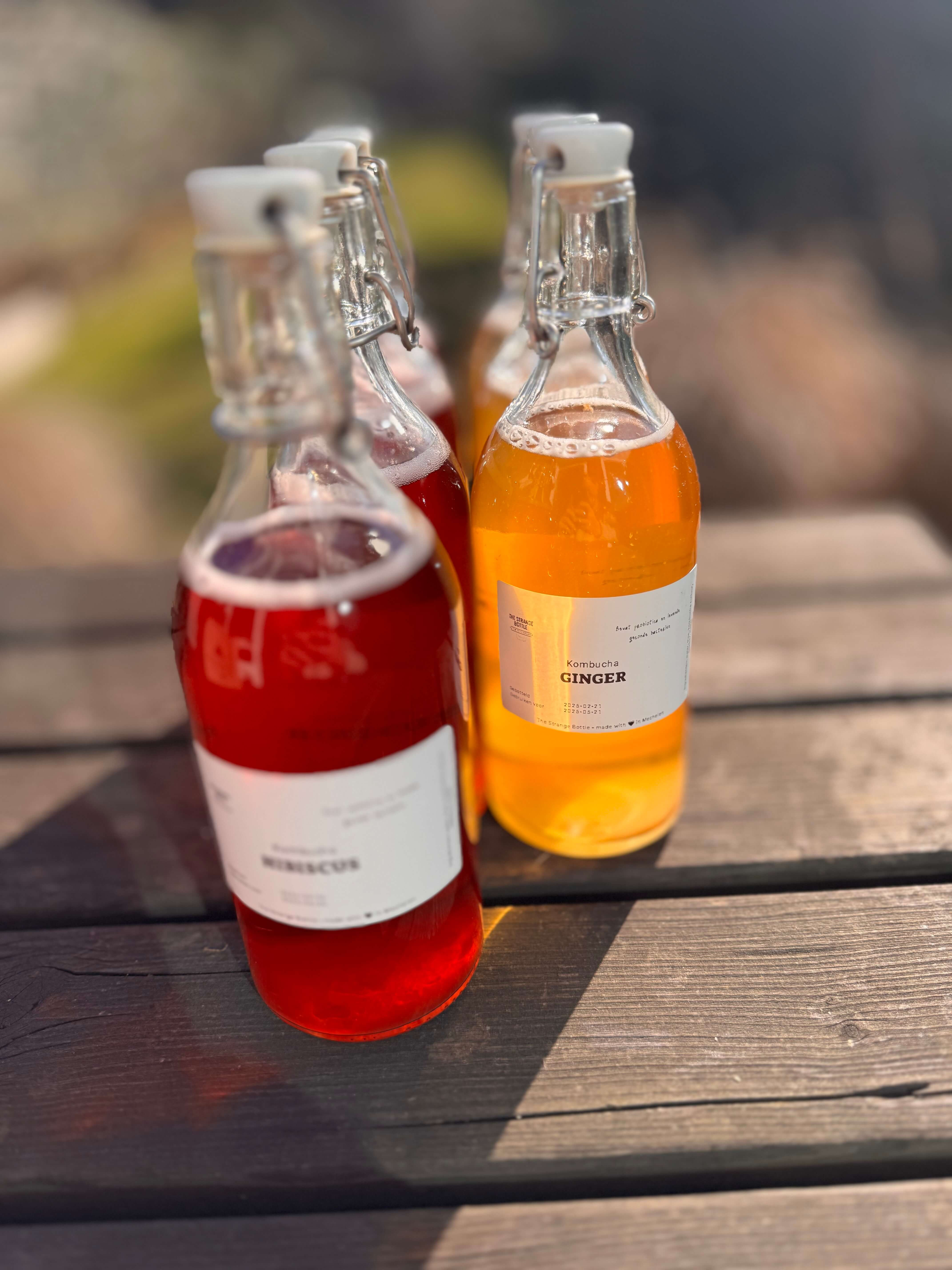 Kombucha brouwen - Foto