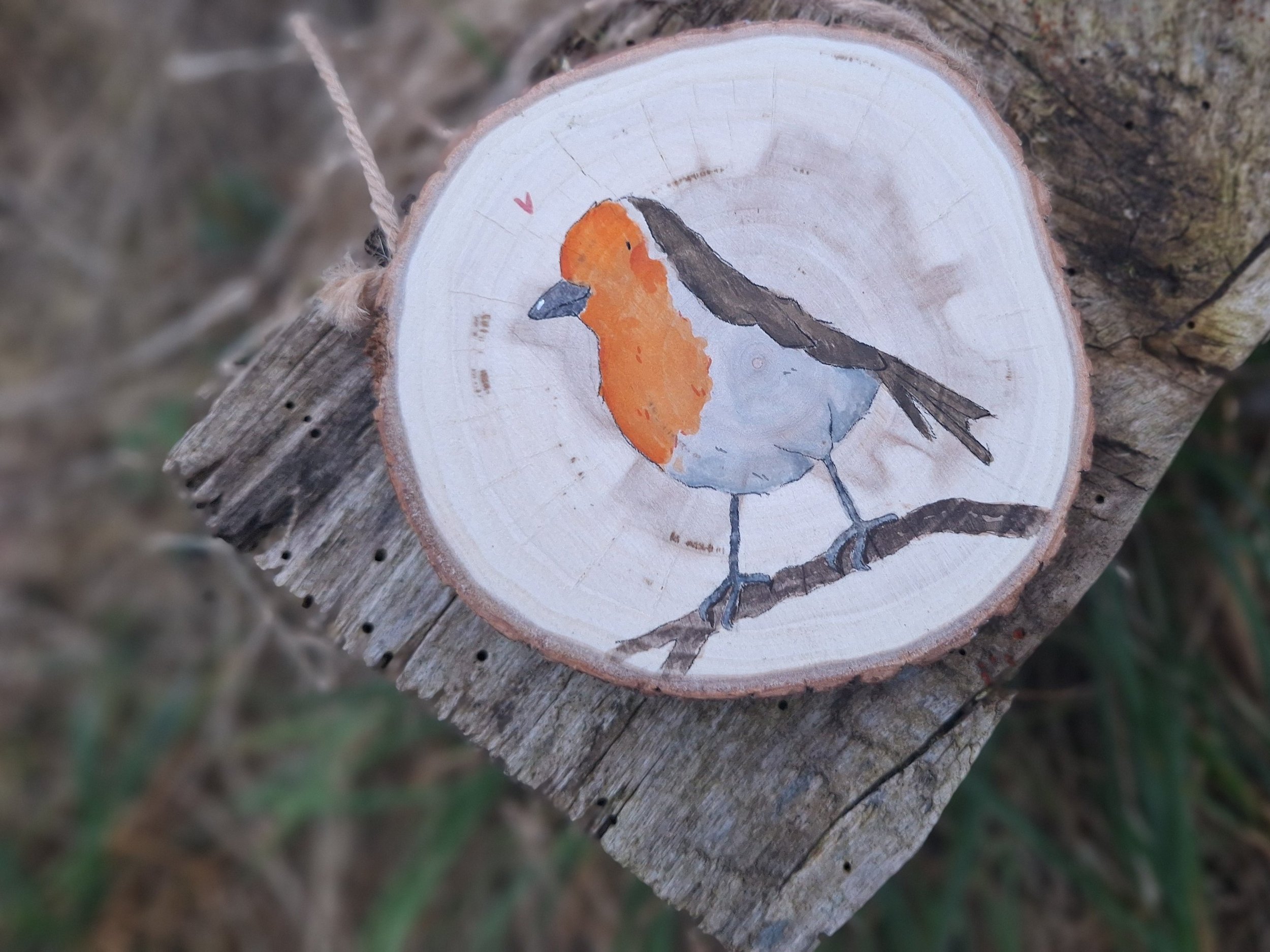 Aquarel workshop Mechelen: schilder een vogel op hout