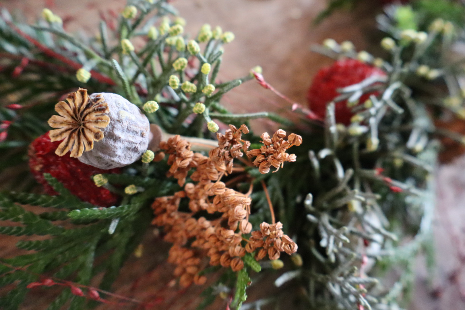 © Stephanie Cosyflowers