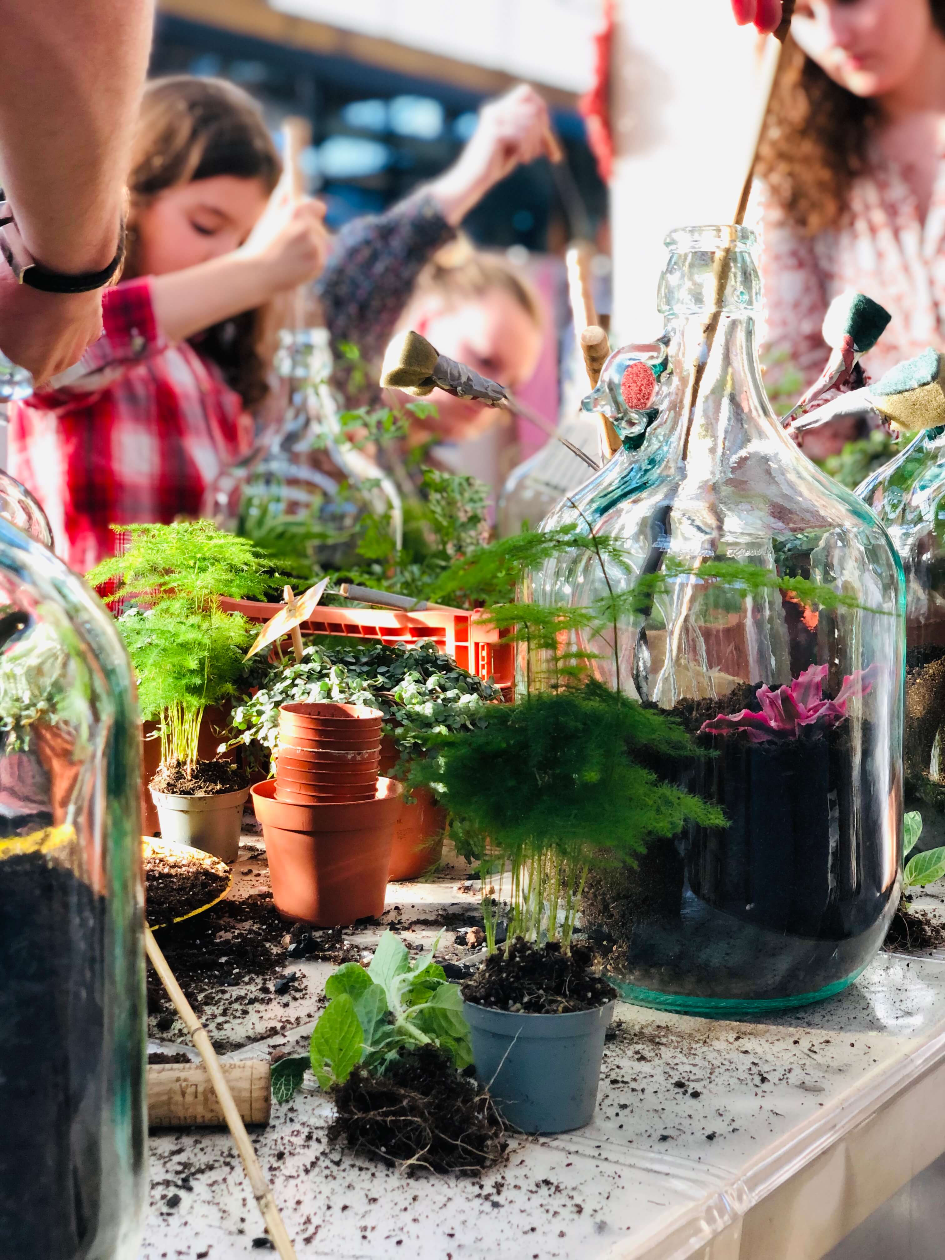 Workshop Flessentuin - 22 november 2025 - Zwolle - Foto