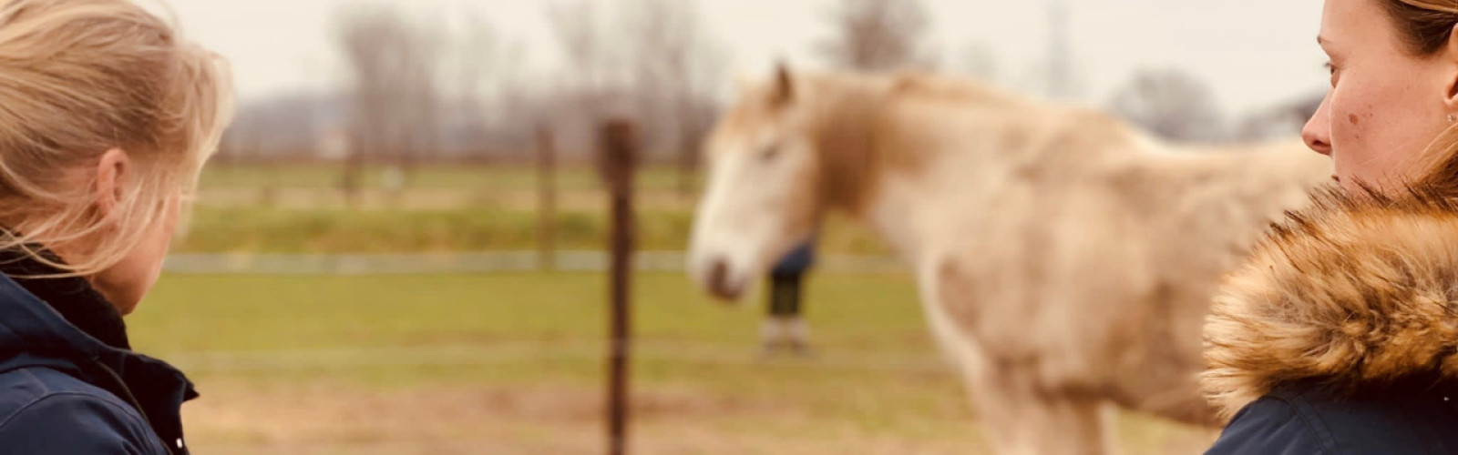 2 vrouwen die bij een paard staan tijdens een coaching