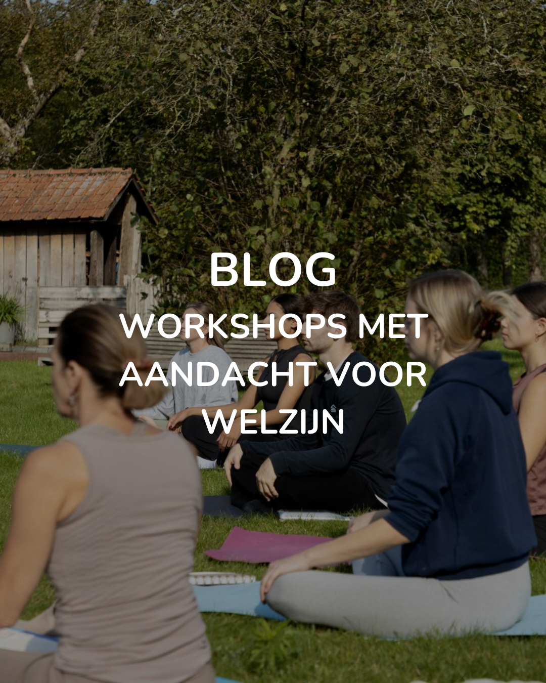 Blog - welzijnsworkshops