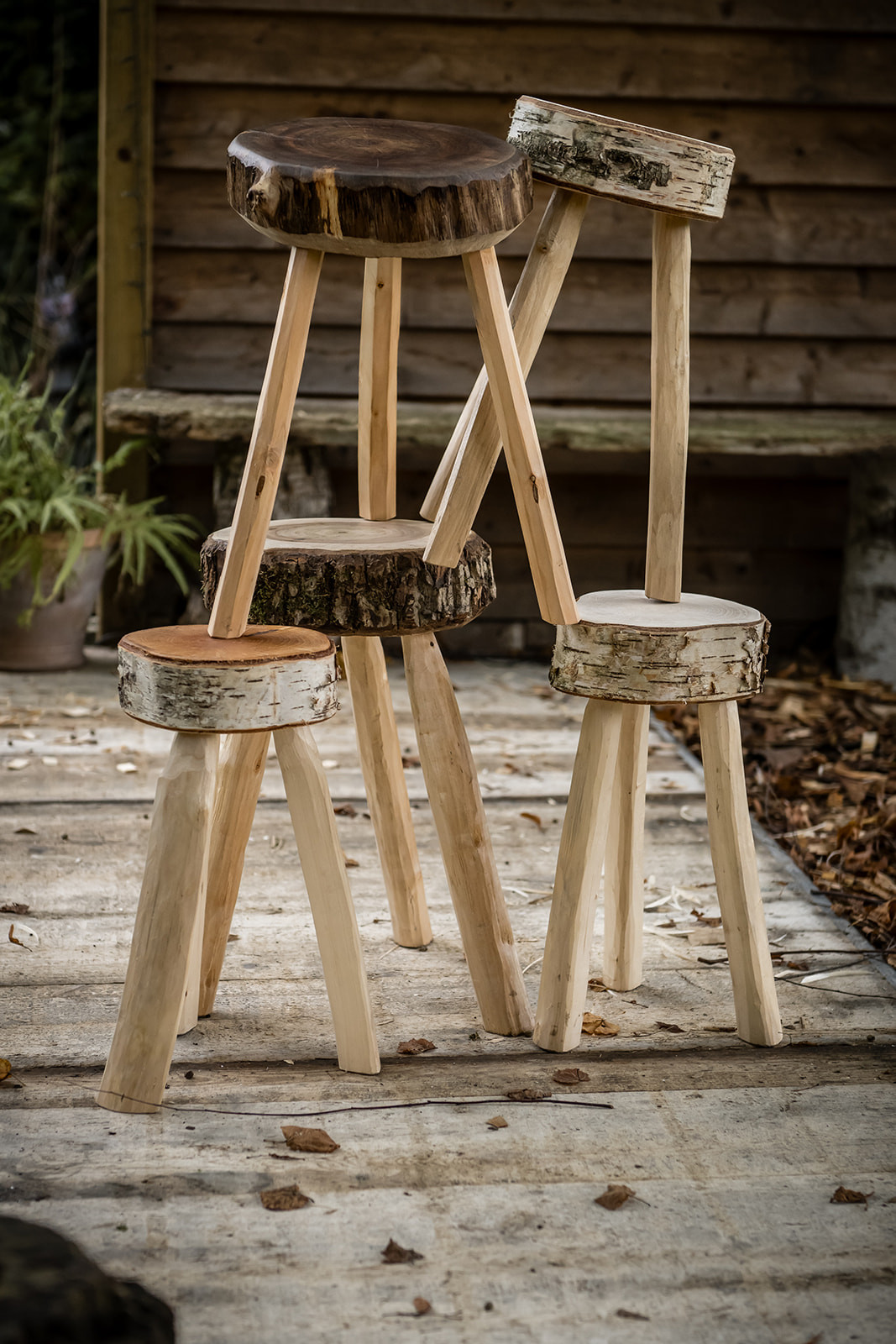 (c) Karen Nachtergaele