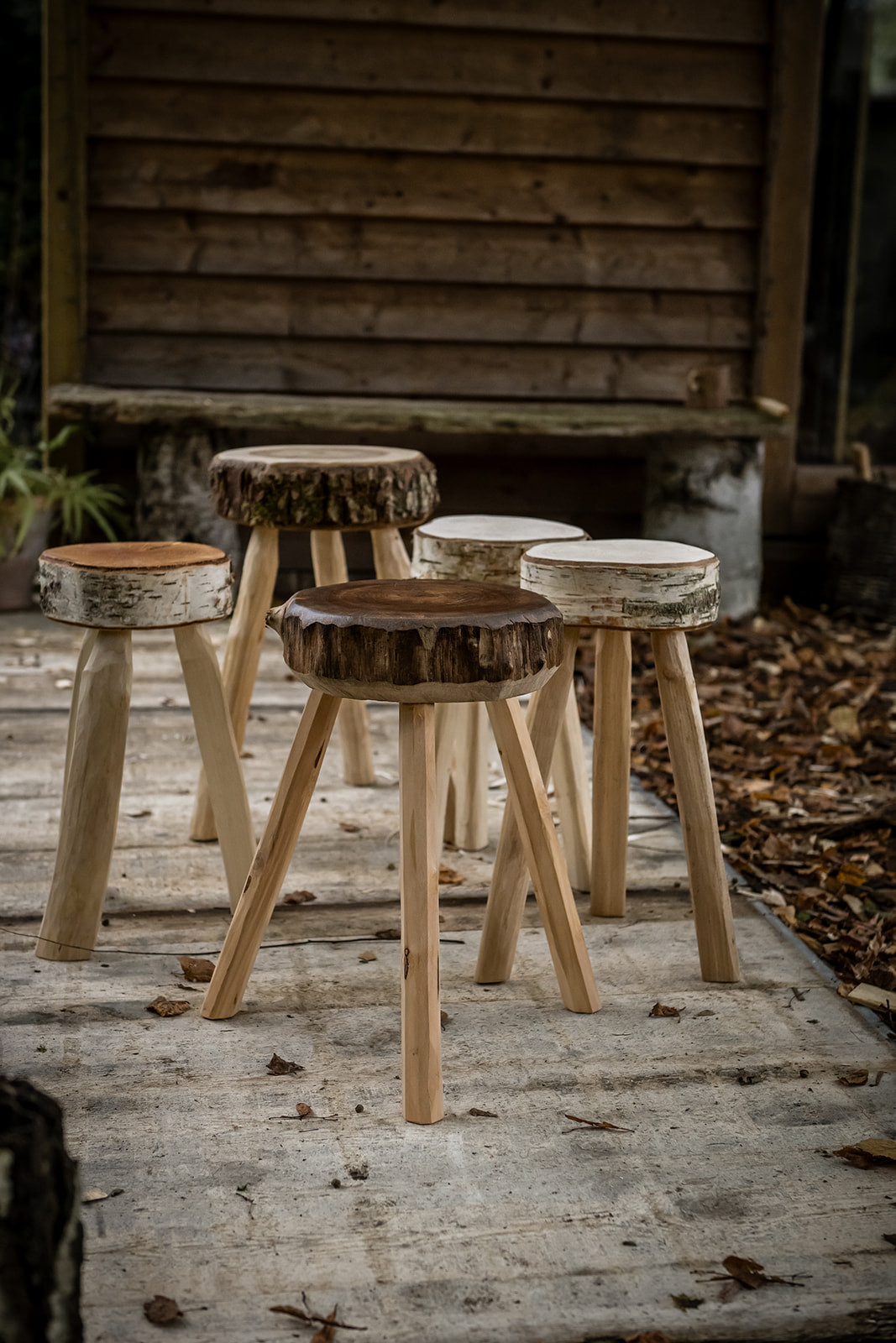 (c) Karen Nachtergaele