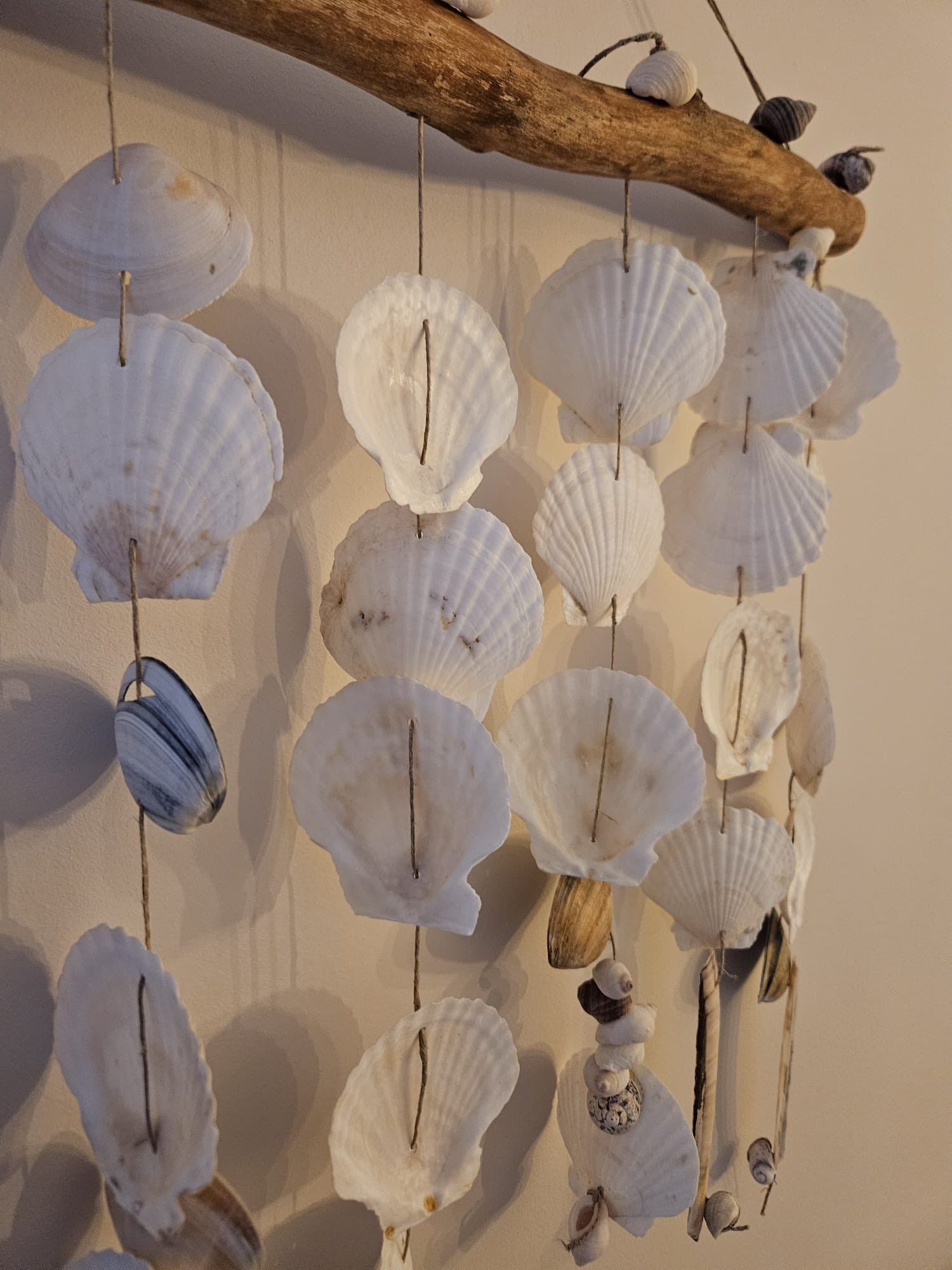 Creatief zijn met zeeschelpen - Foto