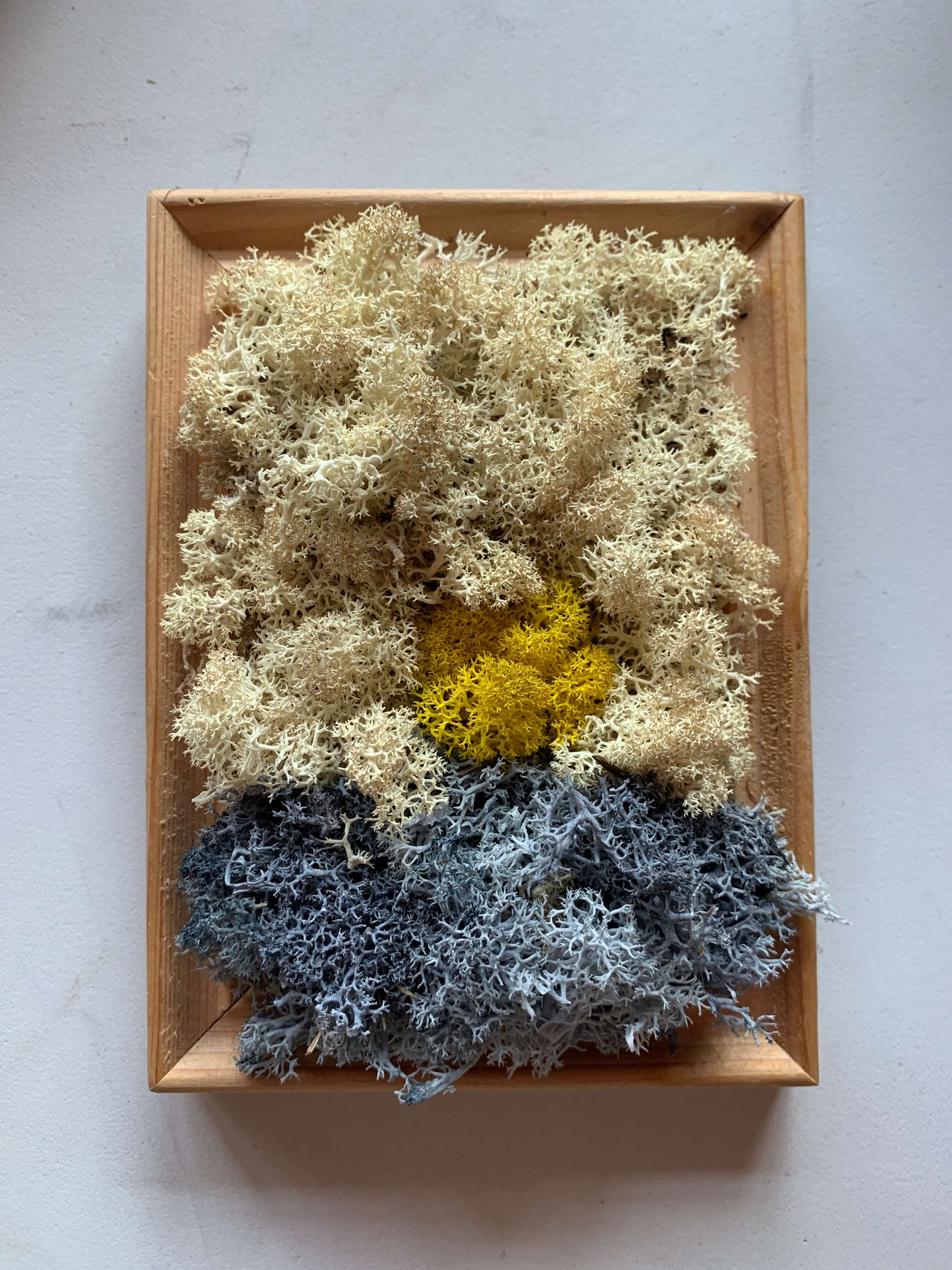 Moswand workshop - Foto