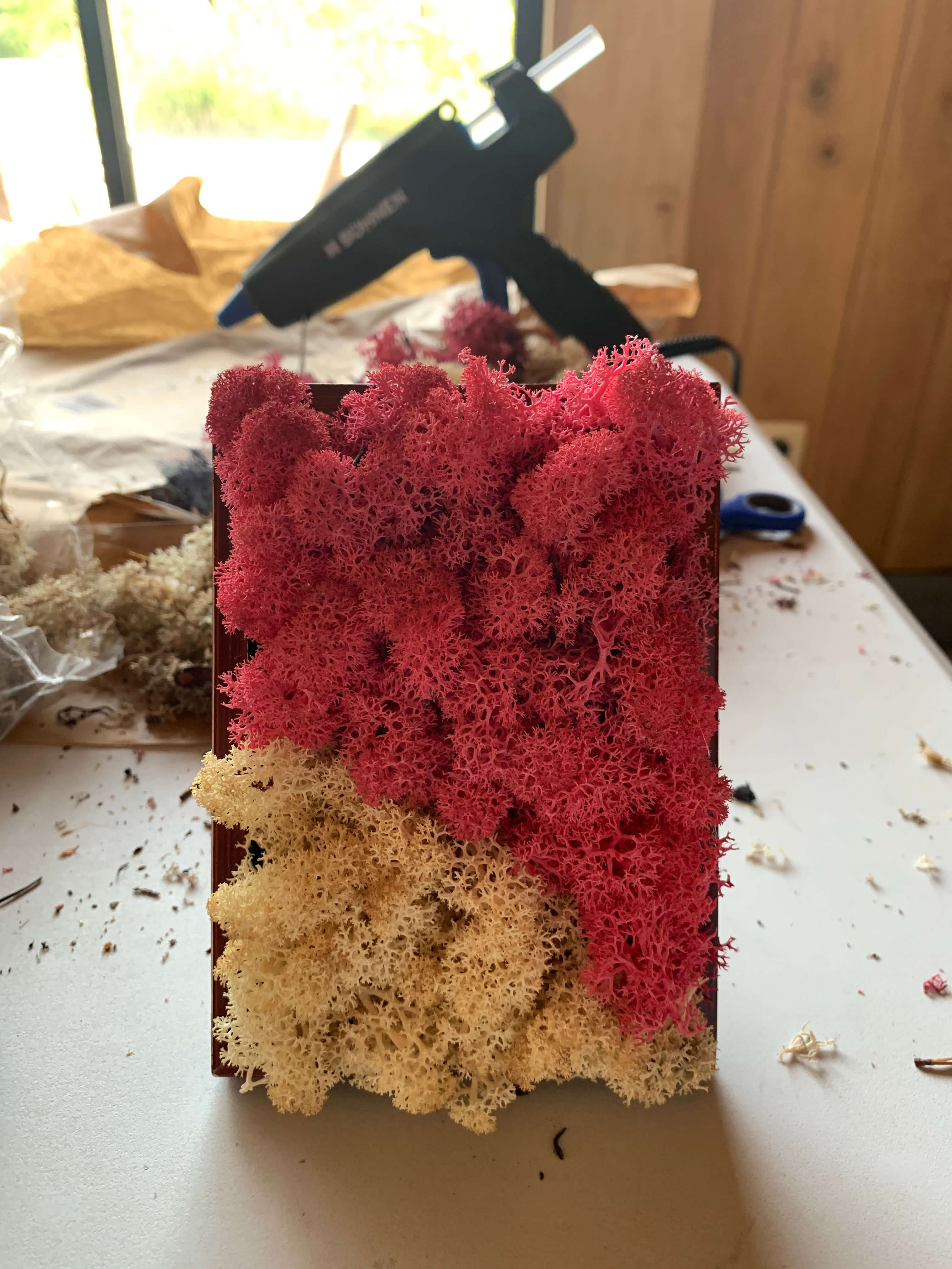 Moswand workshop - Foto