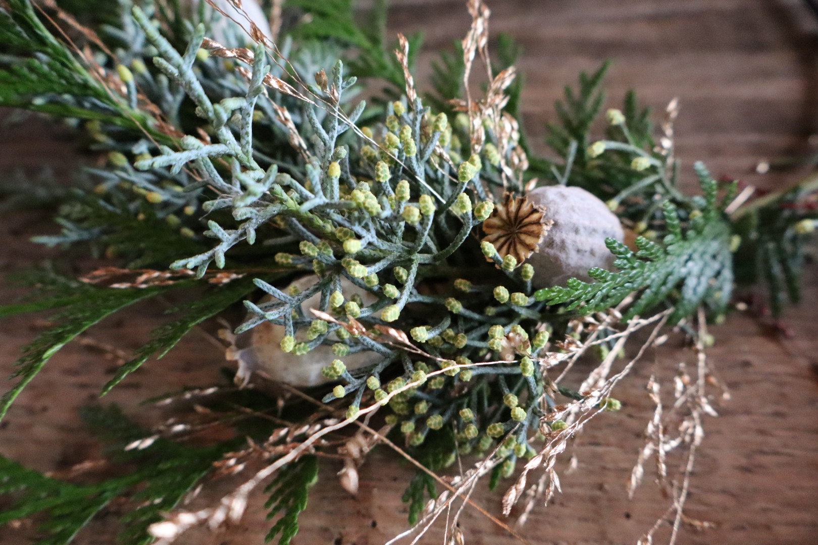 © Stephanie Cosyflowers