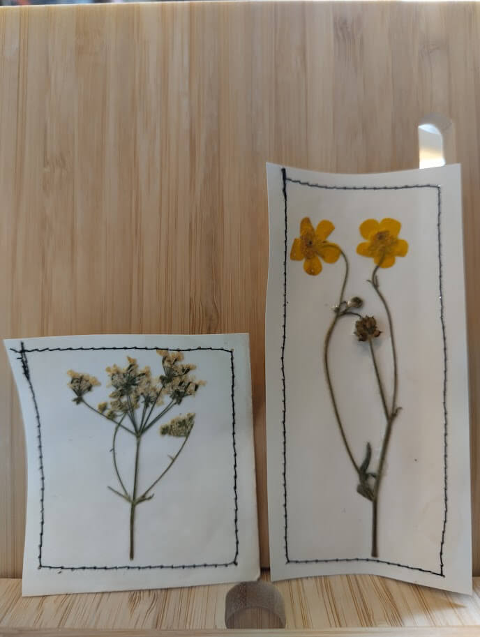 eyecatchers uit de bloemenpers - Foto