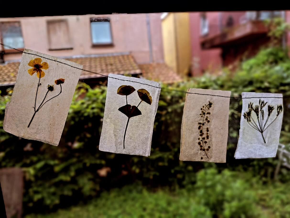 eyecatchers uit de bloemenpers - Foto