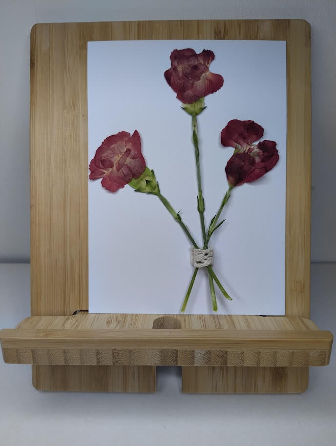 eyecatchers uit de bloemenpers - Foto