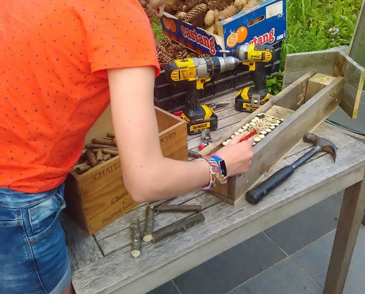 Eekhoorn voederkastje maken - Foto