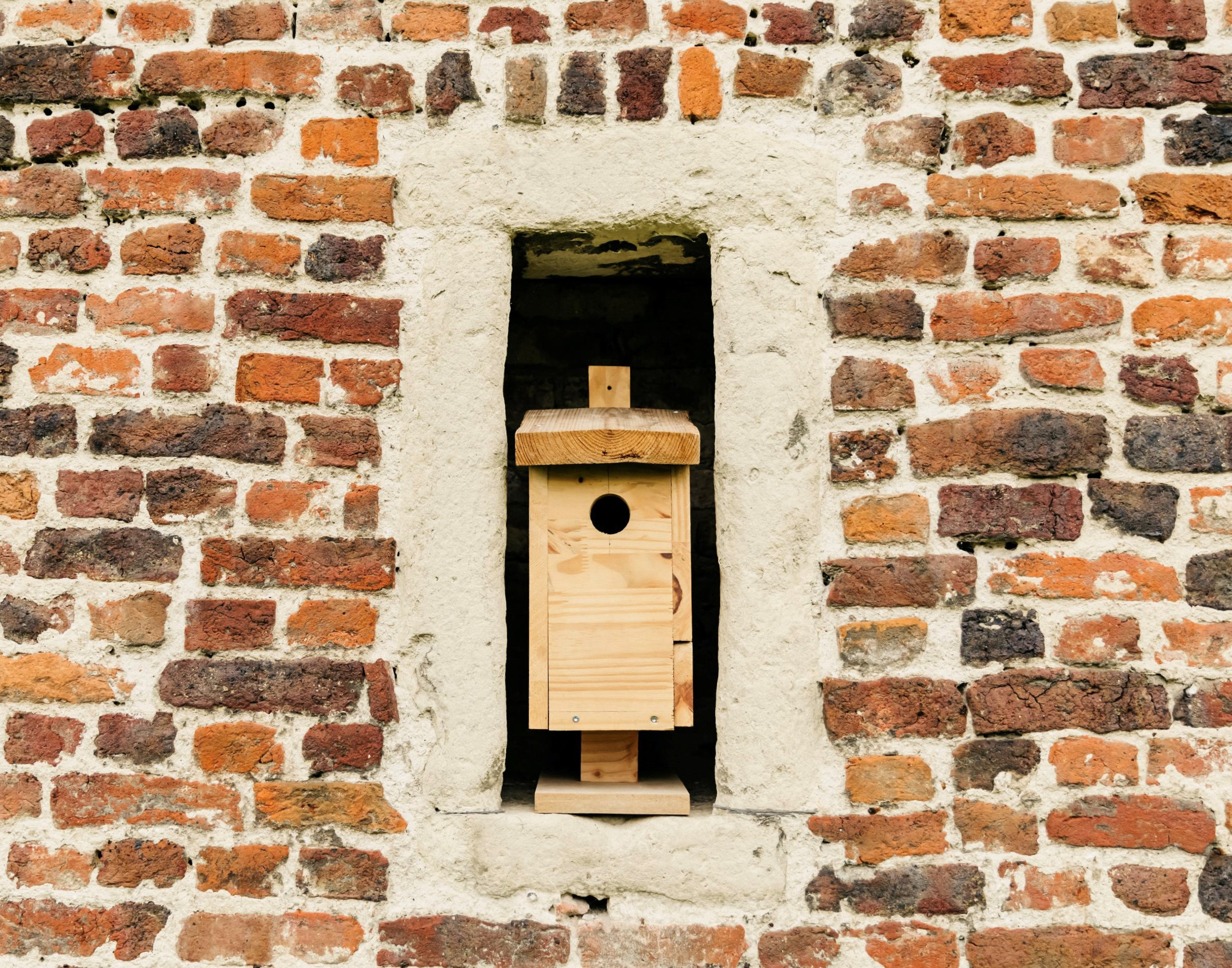 Vogelhuisje maken - Foto