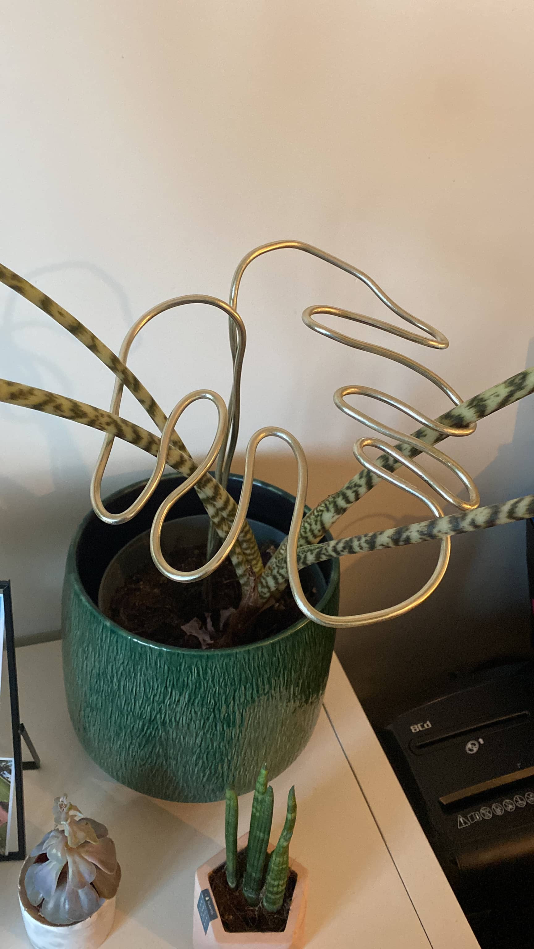 DIY Kit: Maak je Eigen Plantensteun 🌱 - Foto