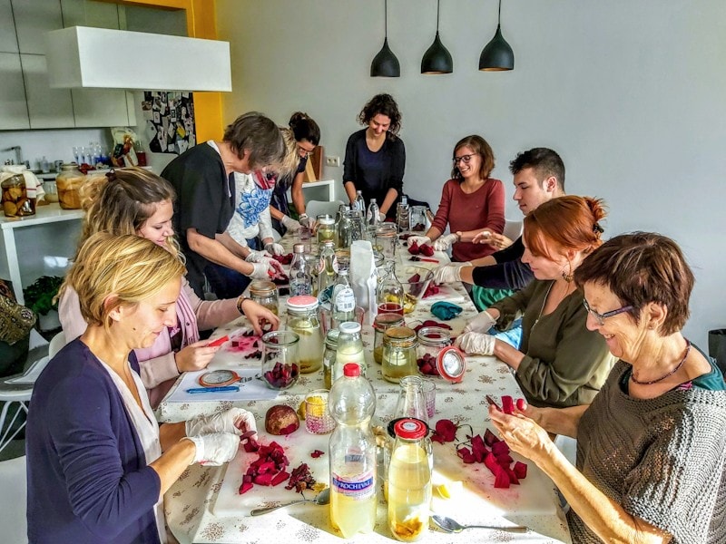 Workshop fermentatie: Kimchi & Zuurkool