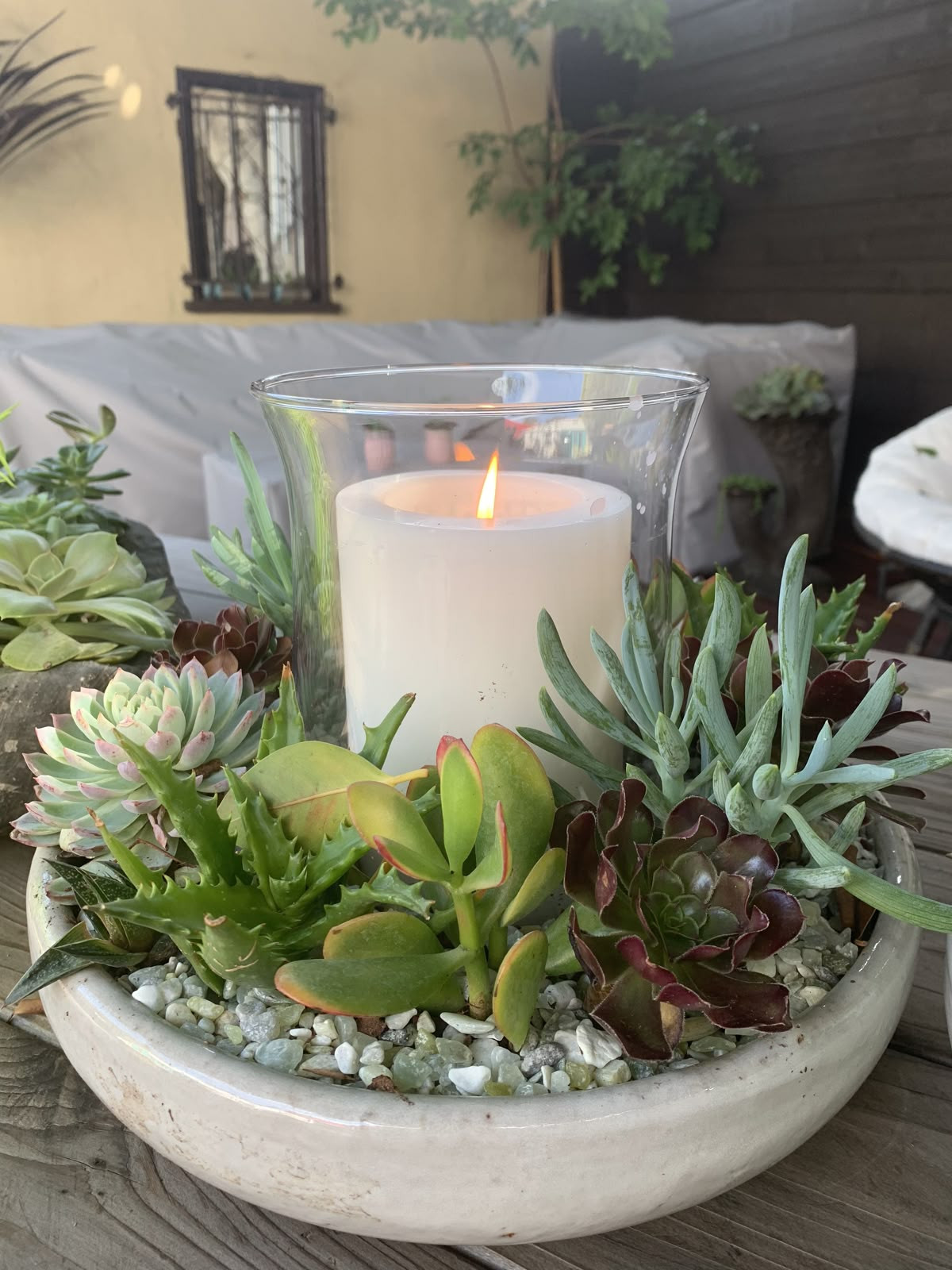 Botanische schaal in Keramiek - Foto